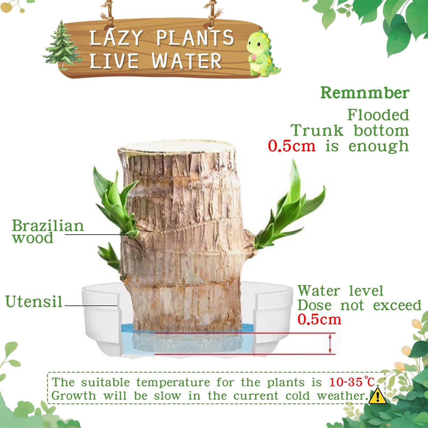 JJWYLTKB Brazilian Lucky Wood Plant,Fortune Brazil Wood Potted Plant with Dinosaur Figurine,Mini Brazil Decoration, Desk Decor for Home & Office Desktop Planter
