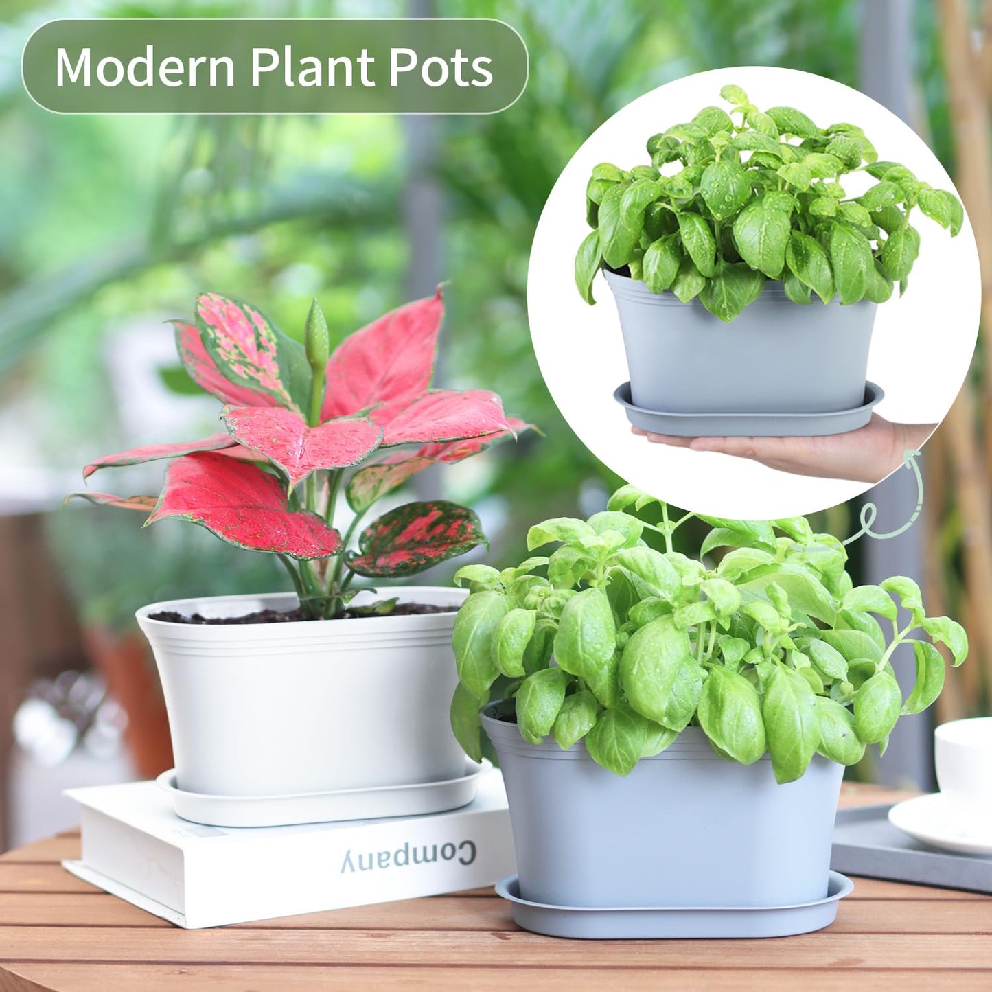 Oliz Windowsill Garden Pots, White Plastic Flower Pots with Drainage Tray for Herb, Succulents, African Violet (Pack of 6)