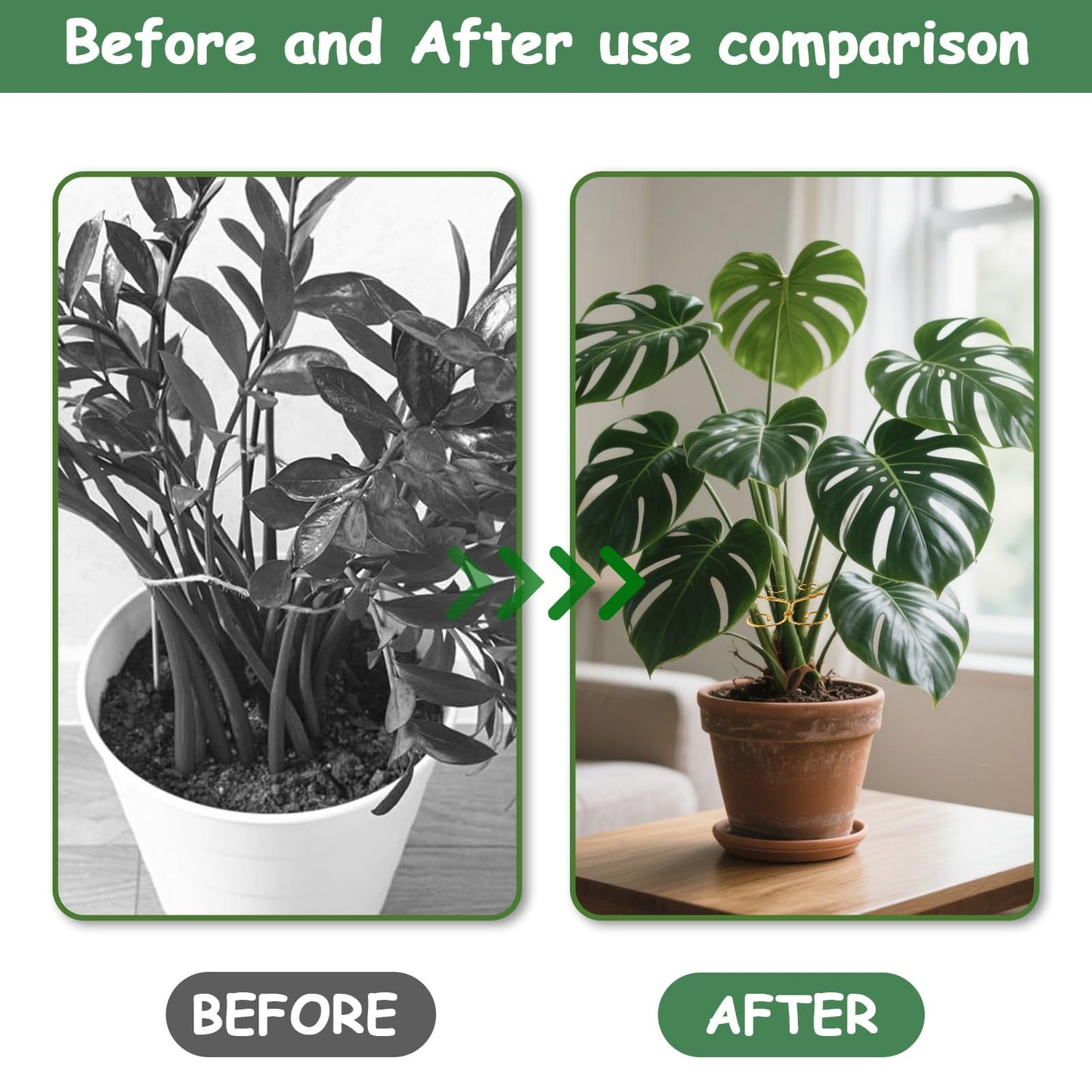 5PCS Iron Monstera Plant Support, Plant Stem Support, Turtle Shell Bamboo Clamp Set, Stable Plant Support Stakes for Indoor Plant, Ideal Present for Plant Lovers (5 Pcs-4.1INX4.1IN)