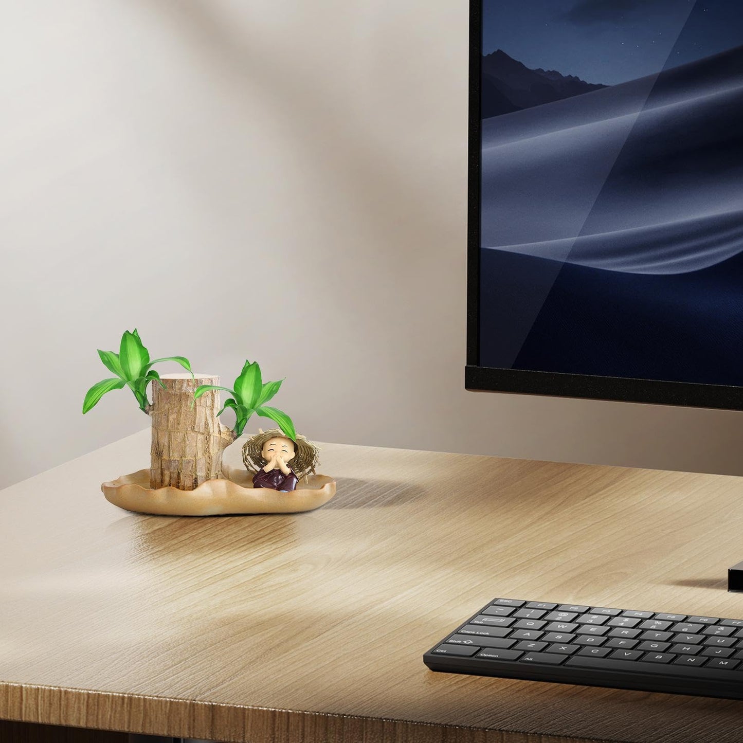 Brazilian Wood Plant, Brazilian Lucky Wood Plant with Pot, Brazilian Wood Hydroponic Plant for Purifying Indoor Air, Brazilian Wood Tree Stump, Brazil Lucky Wood Plant for Indoor Offic-e Desktop Decor