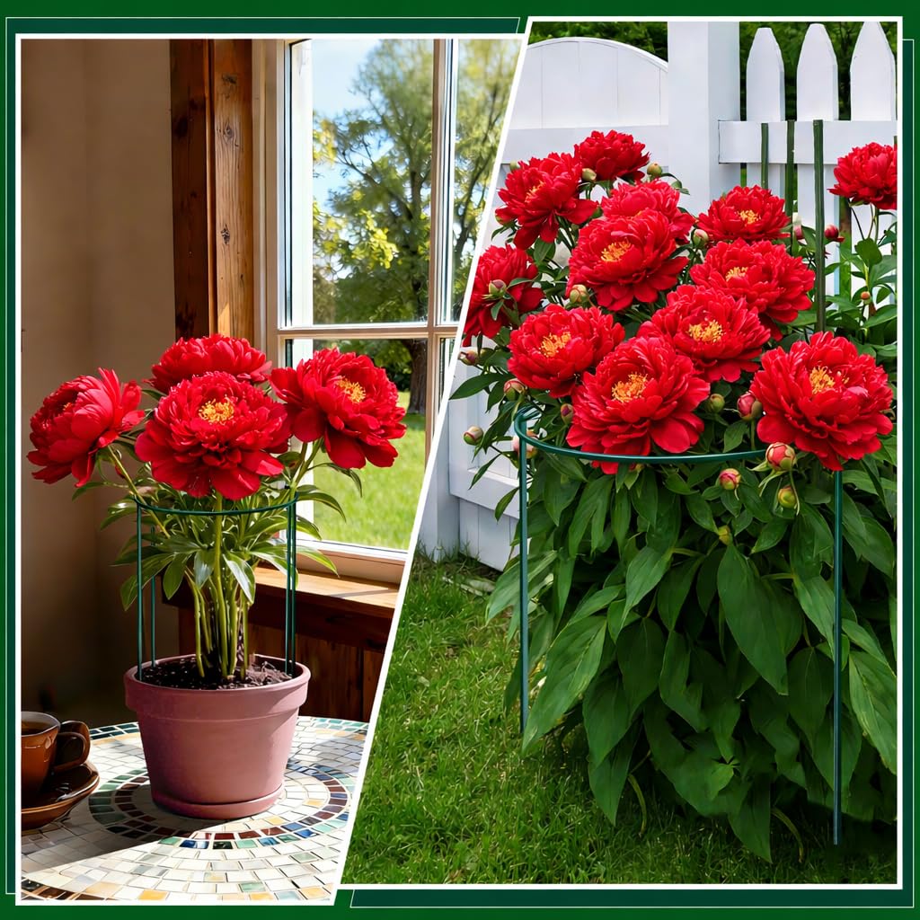 Peony Cages and Supports, 8 Pack Large Half Round Plant Support Cage 10" x 24", Heavy Duty Garden Plant Stakes for Indoor & Outdoor Plants, Peonies, Hydrangeas, Tomatoes & Flowers