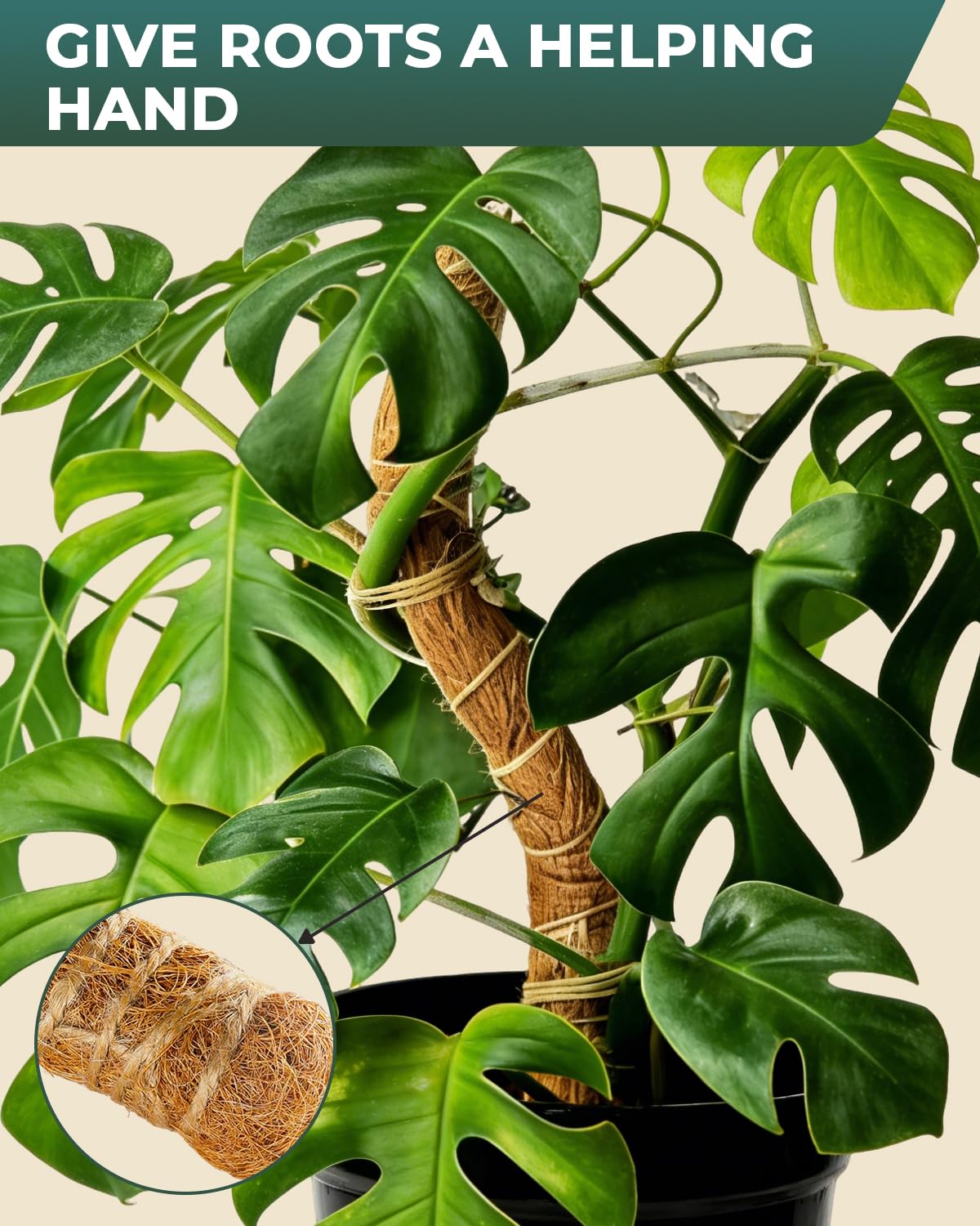 6 Pcs Moss Poles for Climbing Plants, 4 Pcs 39" & 2 Pcs 11" Tall Bendable Coco Coir Trellis Stakes - Indoor Plant Support for Monstera, Pothos- Handmade Moss Sticks for Potted Houseplants