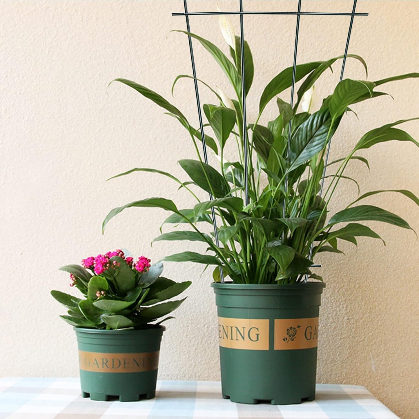 2Pcs Plant Trellis for Climbing Plants Indoor, Green Coated Fan Pot Trellis Metal Flower Support Garden Trellis Frames for Indoor Outdoor Vines Flower Vegetable