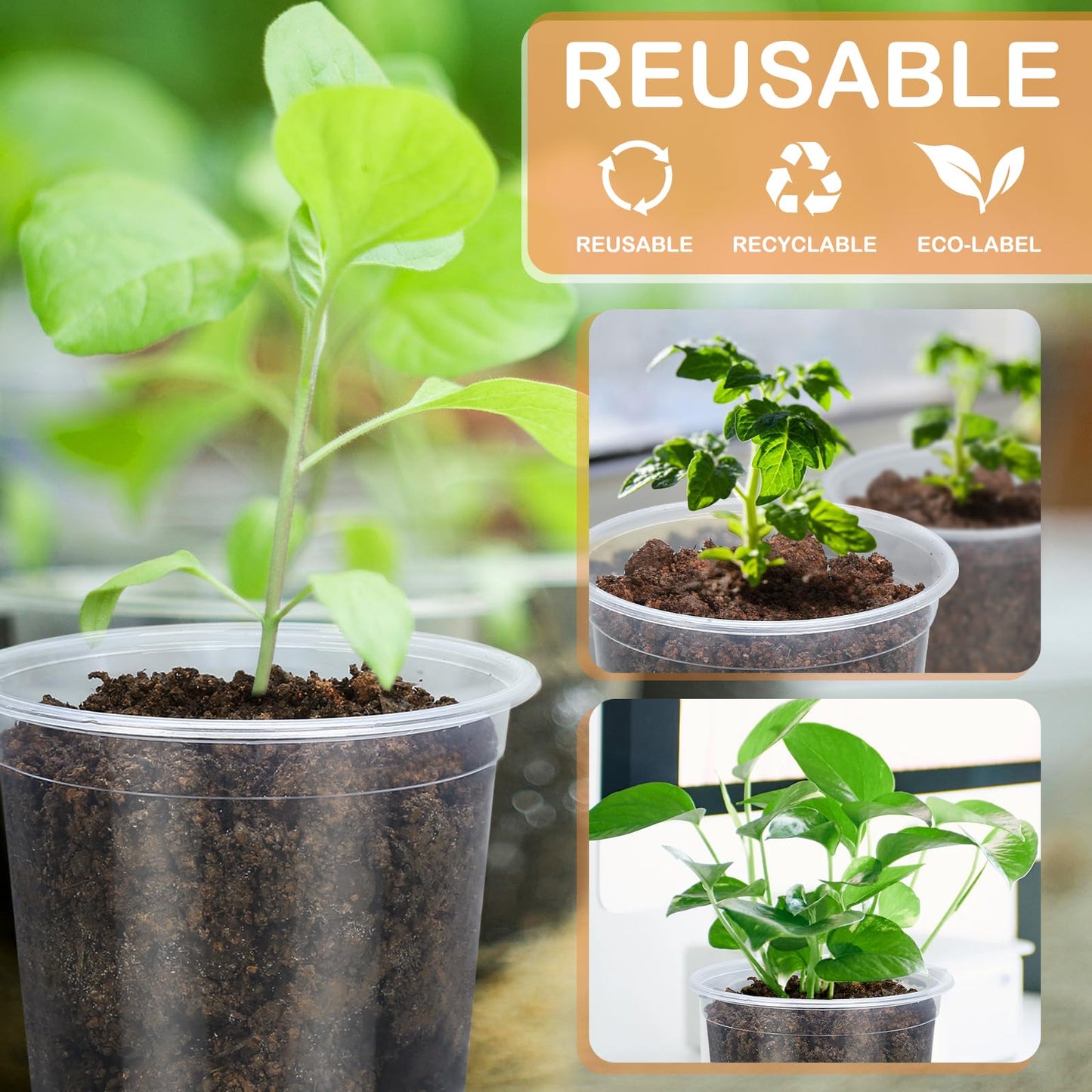 DUNPUTE 15 Pack Clear Nursery Pots with Drainage Holes, 3 Inch Seed Starting Plastic Plant Pots, Transparent Variety Pack Flexible Garden Pot for Outdoor Indoor (Clear, 3 Inch)