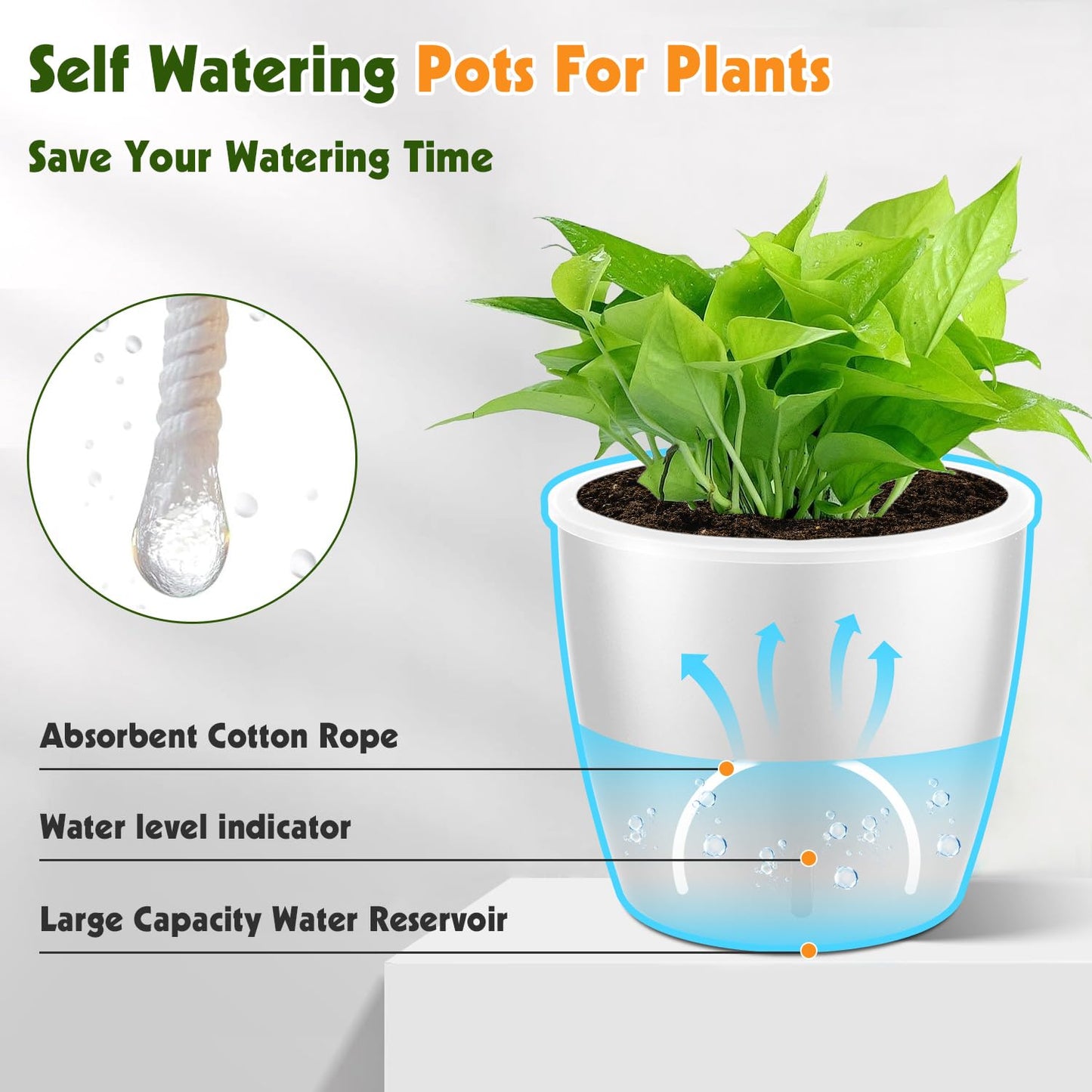 KvyusFlourish 8-Pack 5 Inch Self Watering Pots, Indoor Planter with Indicator, Transparent Wick Pot for Orchids, Small African Violet Pot, for Plants