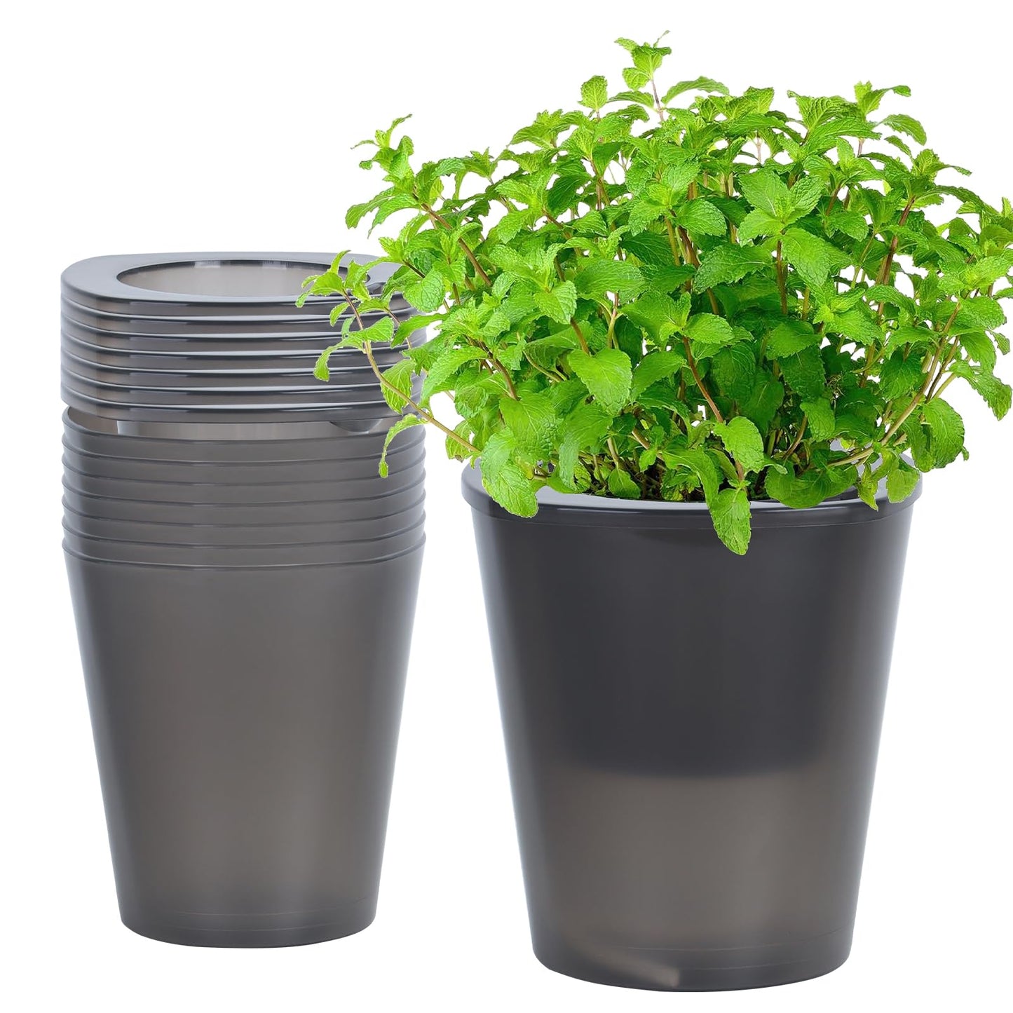 Oliz Self Watering Planter 8 Pcs,4.3 Inch Flower Plant Pot with Inner Pot, Indoor Self Watering Planter Pot for Herbs, Flowers