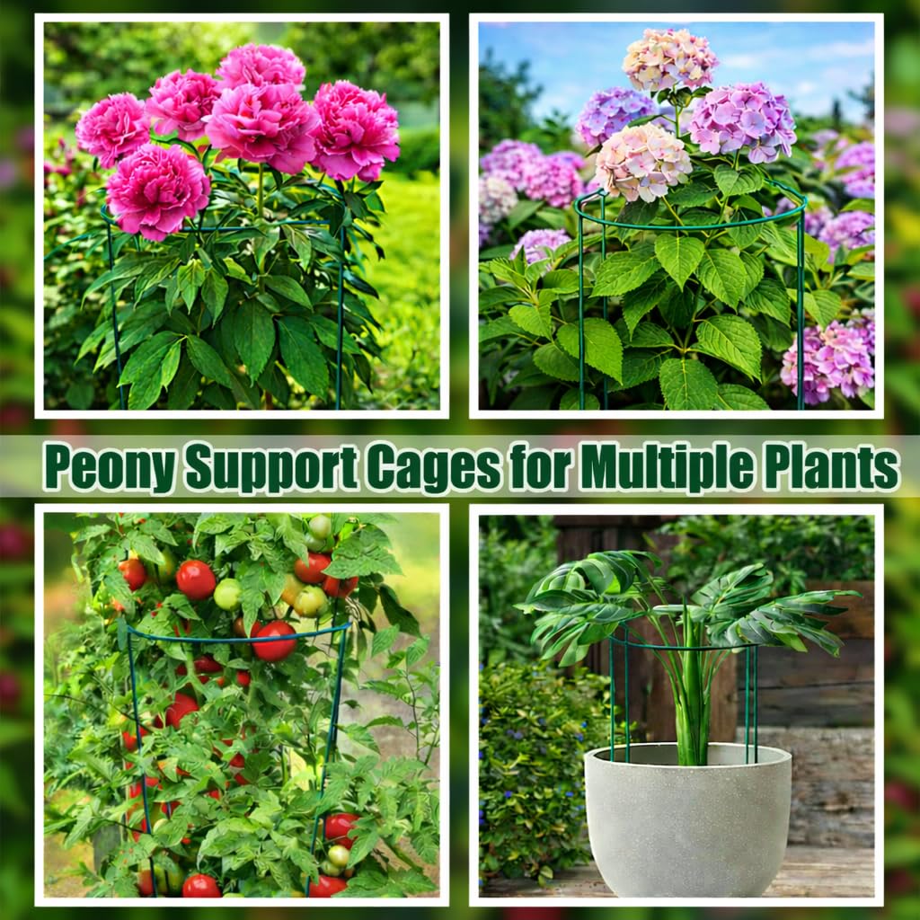 Peony Cages and Supports, 8 Pack Large Half Round Plant Support Cage 10" x 24", Heavy Duty Garden Plant Stakes for Indoor & Outdoor Plants, Peonies, Hydrangeas, Tomatoes & Flowers