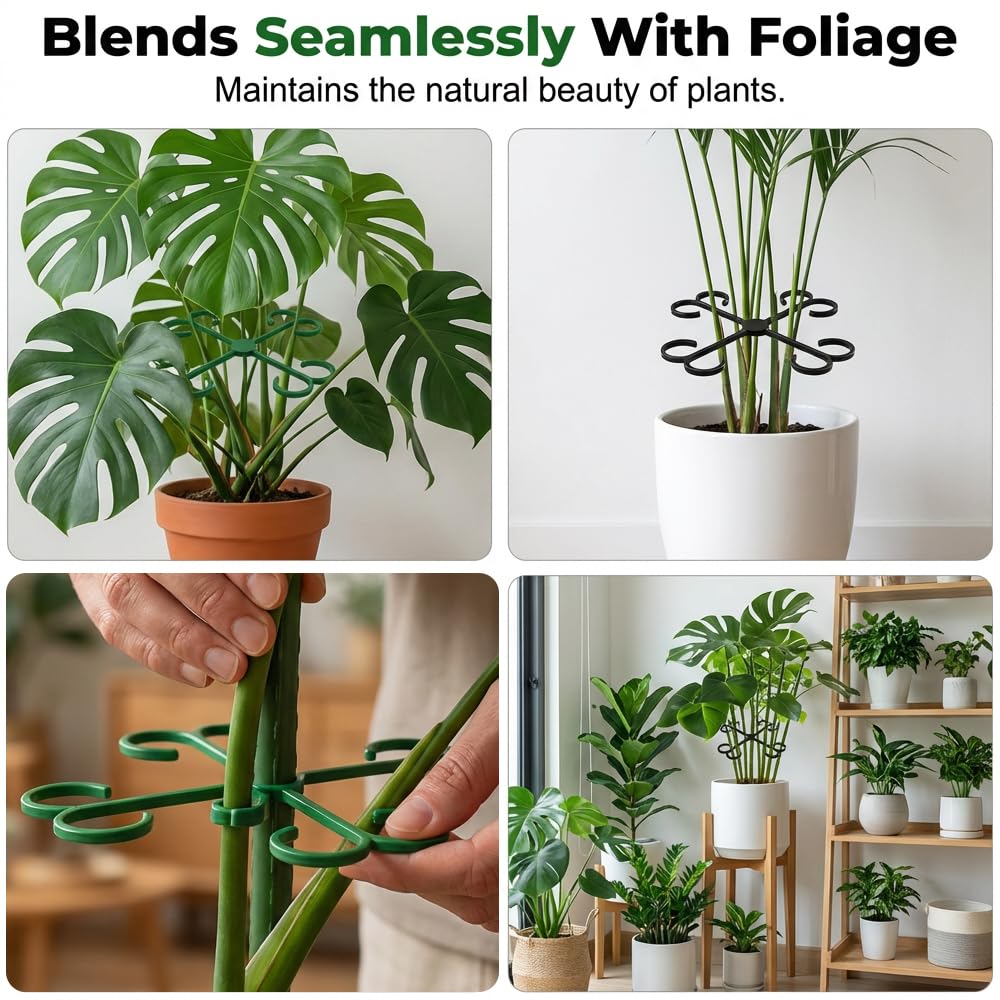 Monstera Plant Support, 2026 New Plant Stem Support for Climbing Plants, Plant Supports for Indoor Plants, Durable Garden Accessory for Home Growers (Green, 5.31in + 4.53in + 3.03in + 2.28in)