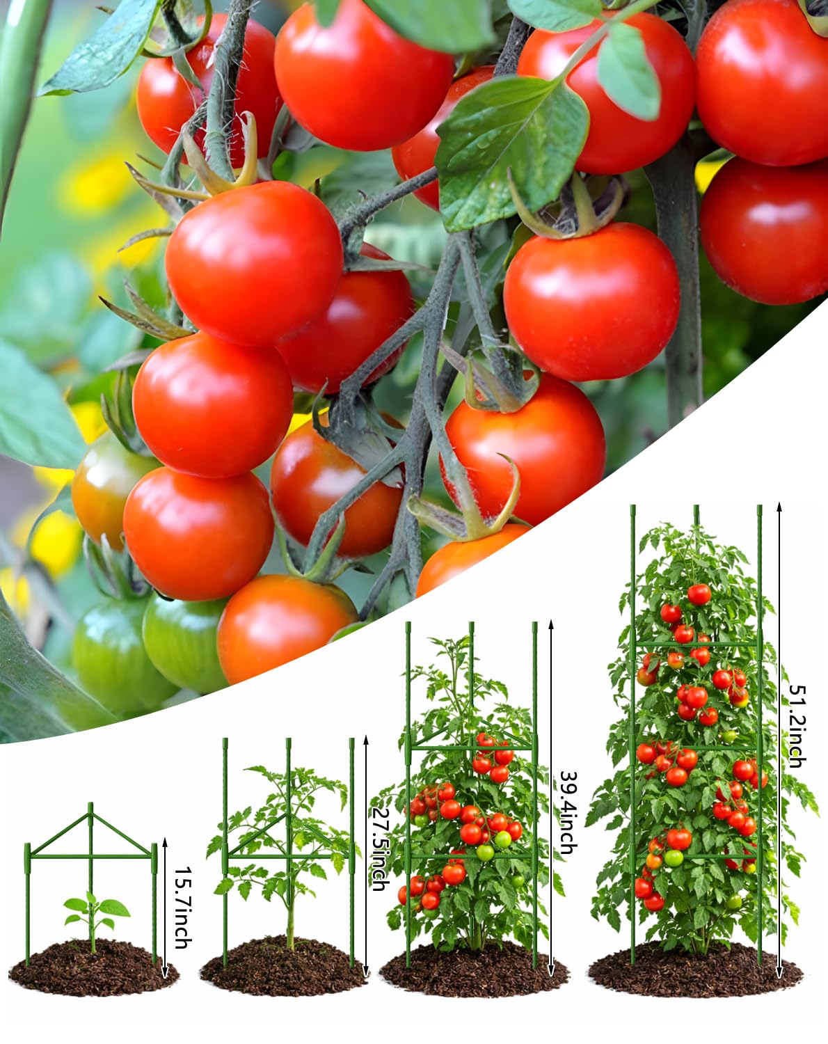 Growsun 51 inch Tomato Cage Heavy-Duty Plant Support Cucumber & Vine Vegetables – Adjustable Green Metal Garden Trellis for Climbing Plants, Indoor & Outdoor Use, 3 Pack