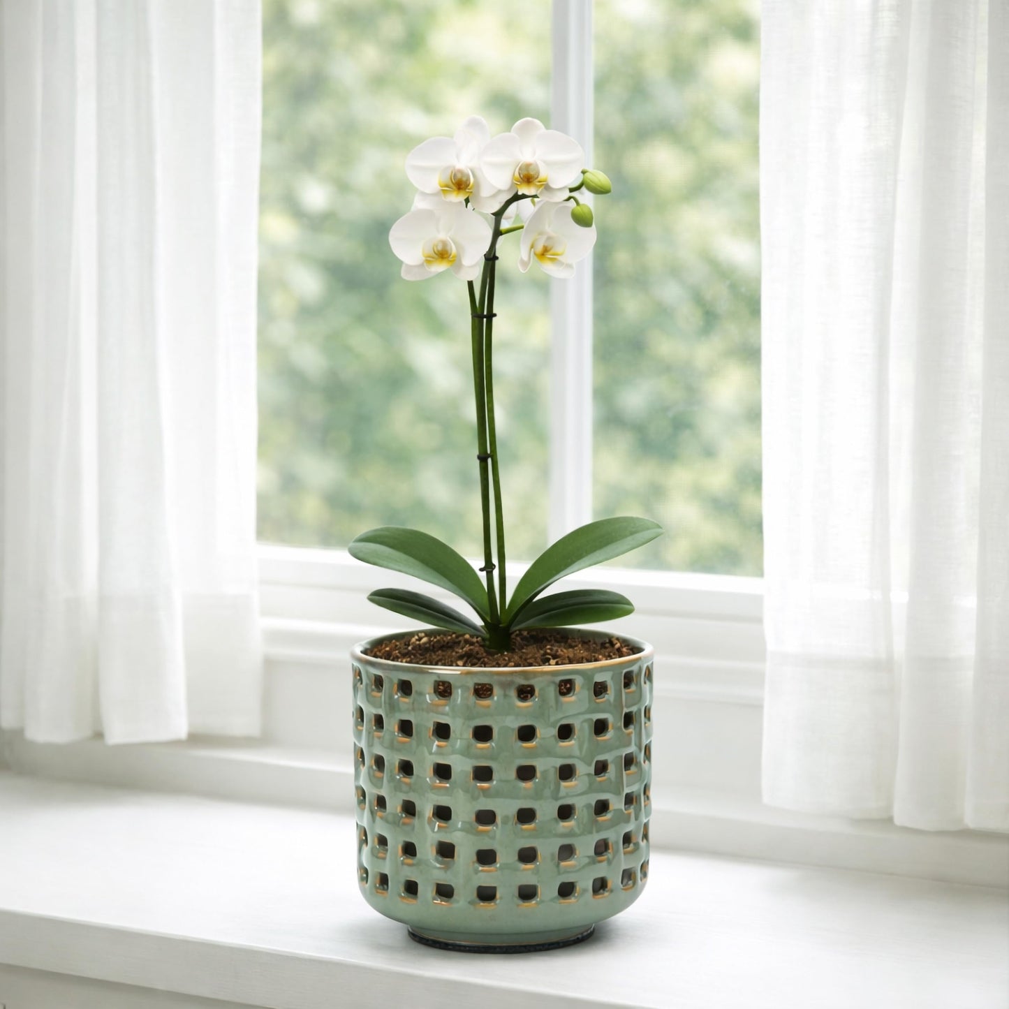 D'vine Dev 4.5 Inch Ceramic Orchid Planter with Lattice Cutout Design, Glazed Cachepot with Clear Nursery Pot & Detachable Saucer for Orchids and Indoor Plants, Olive, 28-A-Z-4