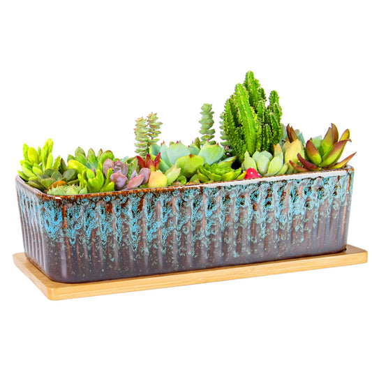 Succulent Pots - 12 Inch Large Succulent Planters with Drainage Tray, Window Sill Planter, Long Rectangle Ceramic Pots for Indoor Cactus Plants Shallow Bonsai Window Box for Home Garden Decor