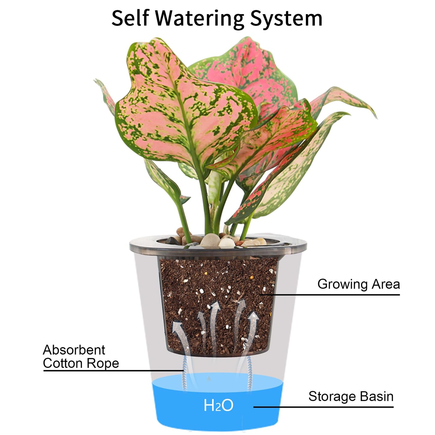 Oliz Self Watering Planter 8 Pcs,4.3 Inch Flower Plant Pot with Inner Pot, Indoor Self Watering Planter Pot for Herbs, Flowers