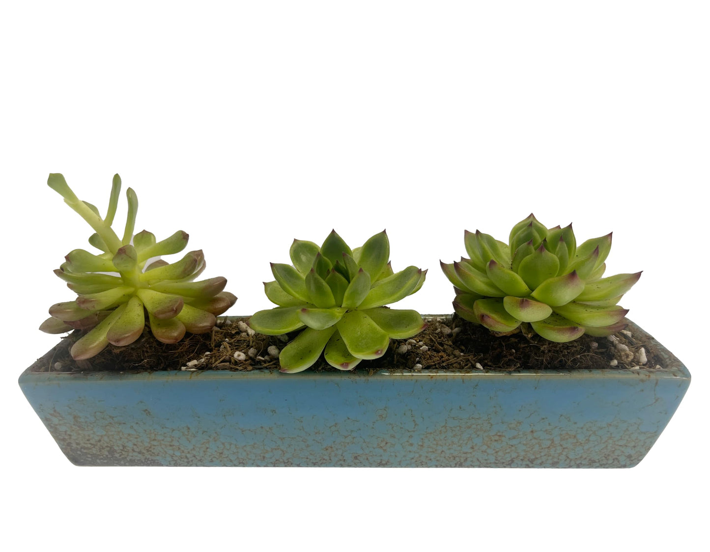 9.8 inch blue long rectangle Ceramic Succulent Planter Pot,one set of Mini Flower Plant Container with Bamboo Saucers. not include the plant.