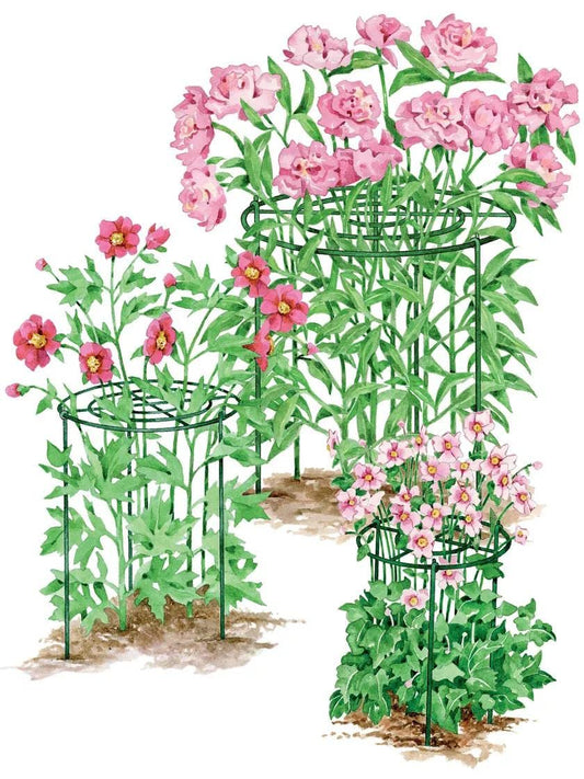 Gardener's Supply Company Grow Through Plant Support | Sturdy Metal Support Frame for Peonies, Roses Flower Garden Cage | Wide Top Rings Bouquet Shape |18" D X 24" H (Set of 3)