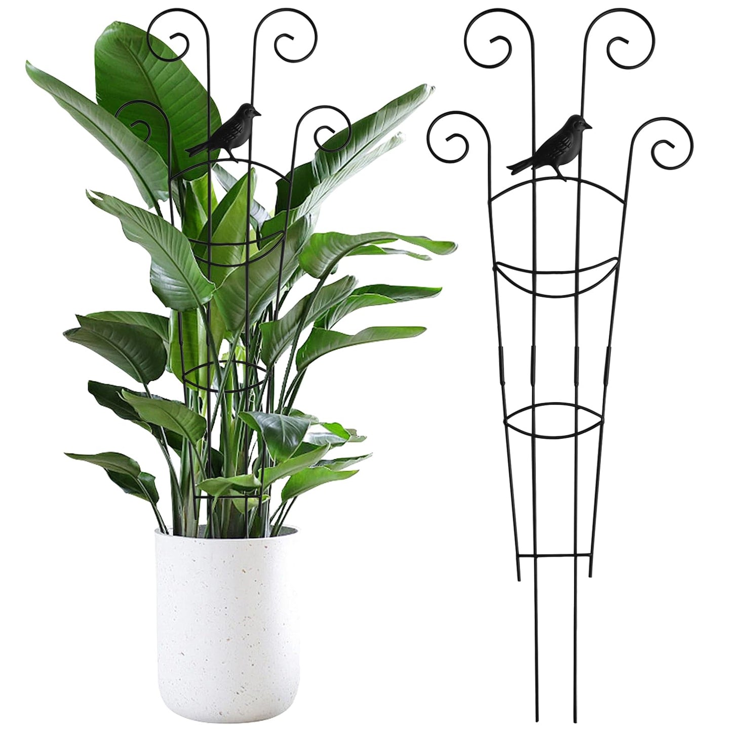 30 Inch 2Pack Garden Trellis for Climbing Plants, Rustproof Sturdy Metal Plant Trellis, Decorative Trellis for Potted Plants, Climbing Vines, Flowers, Vegetables, Indoor Outdoor Plant Support, Black