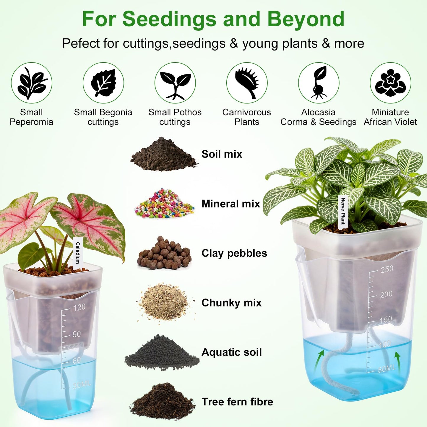 Zalovvi 2” Clear Self Watering Pots for Indoor Plants, 8PCS Mini Plastic Nursery Planters with Water Level Indicator & Drainage Holes for Propagation,Succulents,Seedling,African Violet,Plant Labels