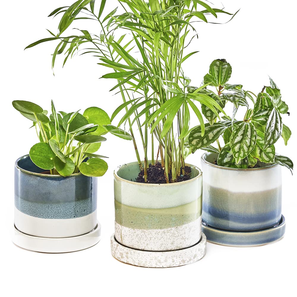 CHIVE ‘Minute’ Ceramic Succulent Planters — Set of 3 — 3” Indoor Cactus & Flower Container Pots with Drainage & Detachable Saucer — Green Blue Mix