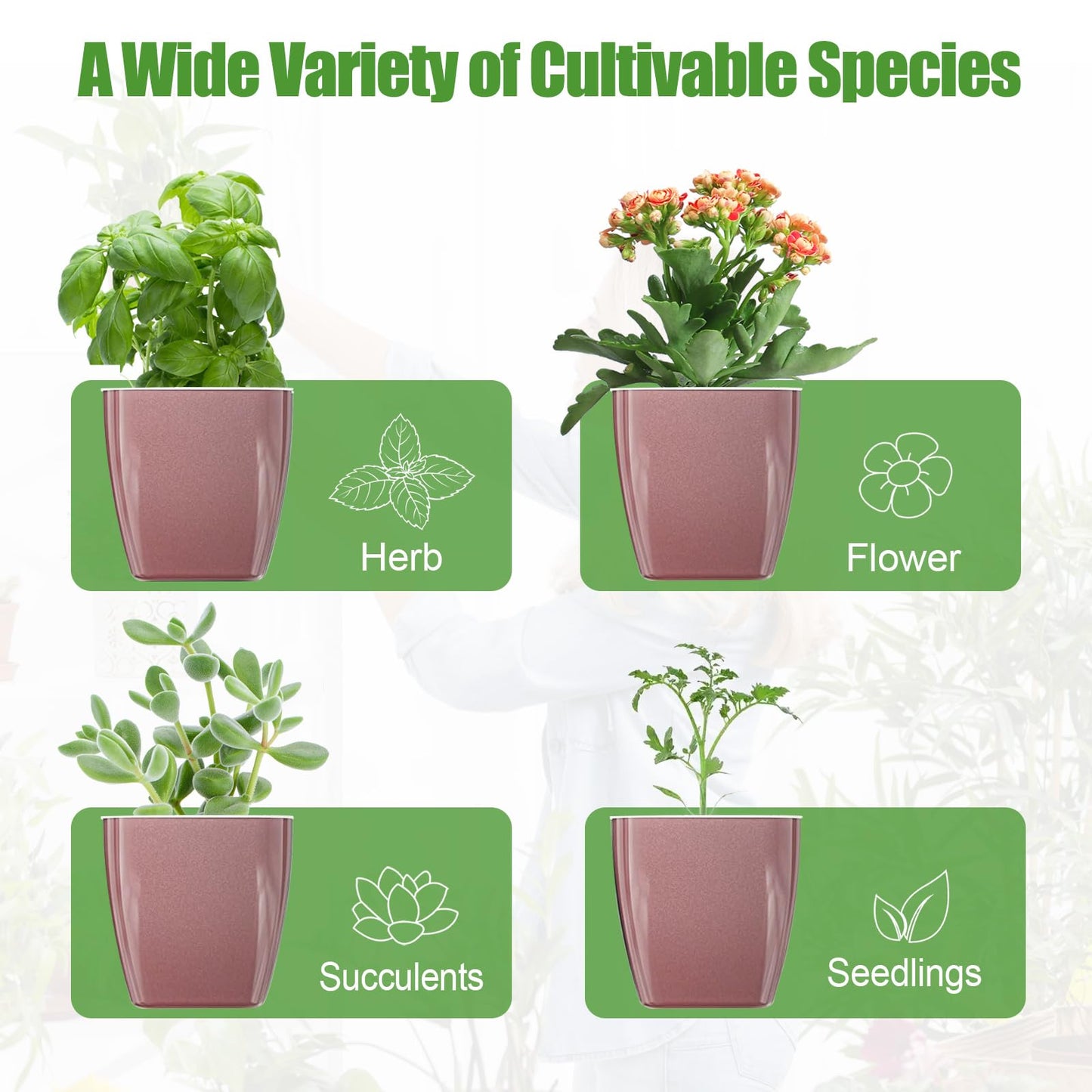 Oliz 8 Pack Self Watering Pots 4-inch Decorative Flower Planters for Indoor Plants Modern Square planters for Small Plants Window Sill Planters for Succulents, African Violets, Herbs(Rose Gold)