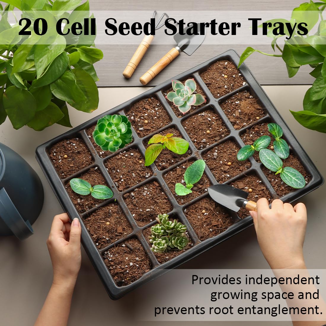RooTrimmer 10 Pack 2.5 inch Square Pots 3.5 inch Deep 20 Cell Seedling Plug Trays with Water Collection Nursery Trays (15"x11"x3") for Seeds Starting and Transplanting