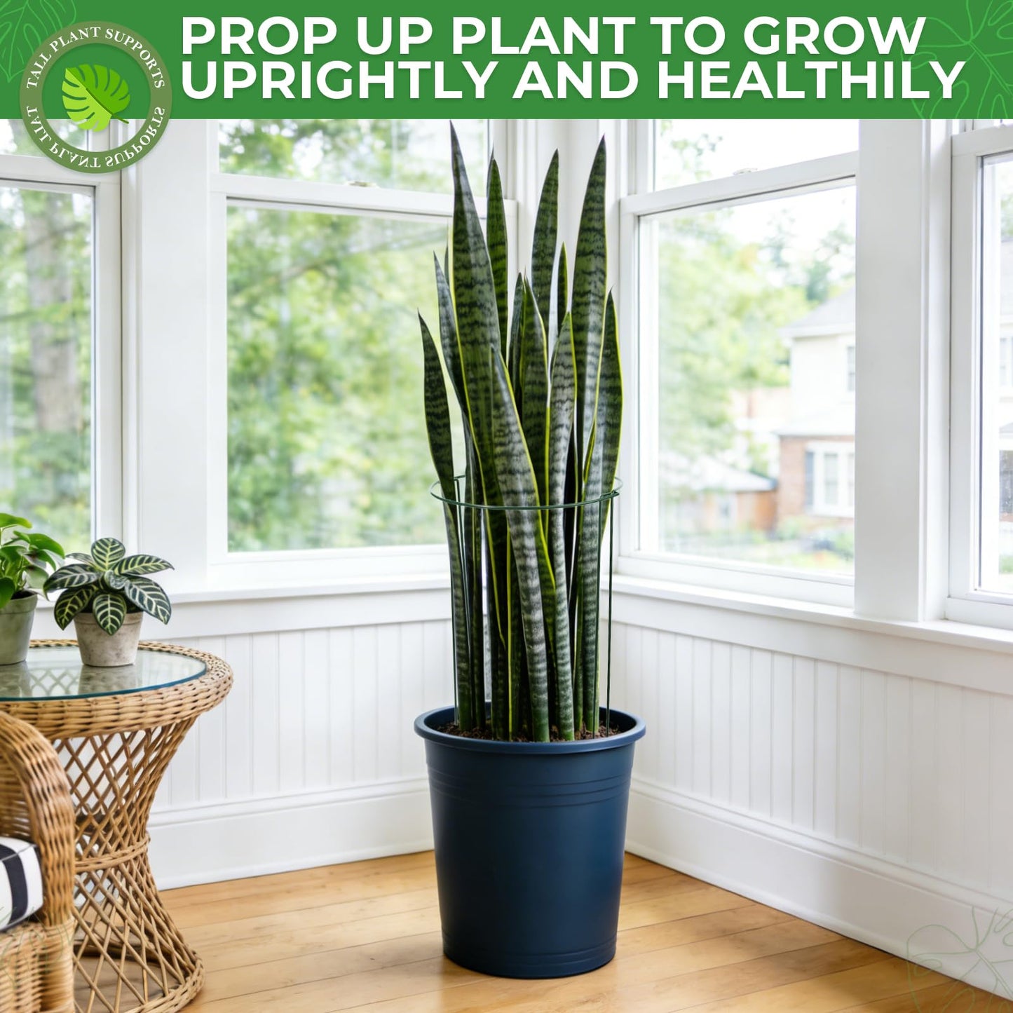 LEOBRO 12PCS Plant Supports, 24 Inch Peony Cages and Supports, Garden Plant Stakes for Indoor Plants, Outdoor Plants, Peony Tomato Monstera Hydrangea Stakes, 10" W x 24" H