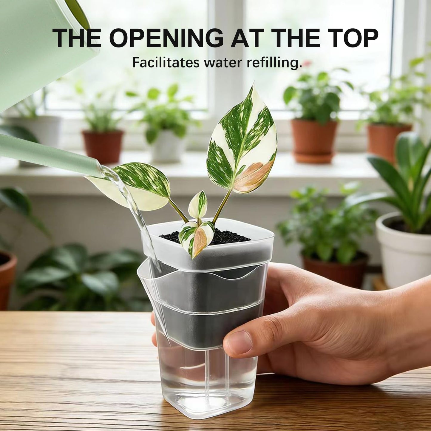 SZFHUMFT Clear Self Watering Pots - 10 Pack 2.5 Inch Clear Self Watering Pots for Indoor Plants, Semi Hydroponic Pots with Drainage Holes, Labels & Wicks