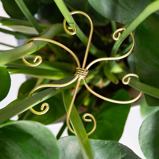 Yohsnor 6.5IN Monstera Plant Support Hook 5PCS Durable Stem Stabilizer for Indoor Plants | Easy Setup 5-Piece Set Ideal for Turtle Shell Leaf Support Ideal Present for Plant Lovers & Home Garden Décor