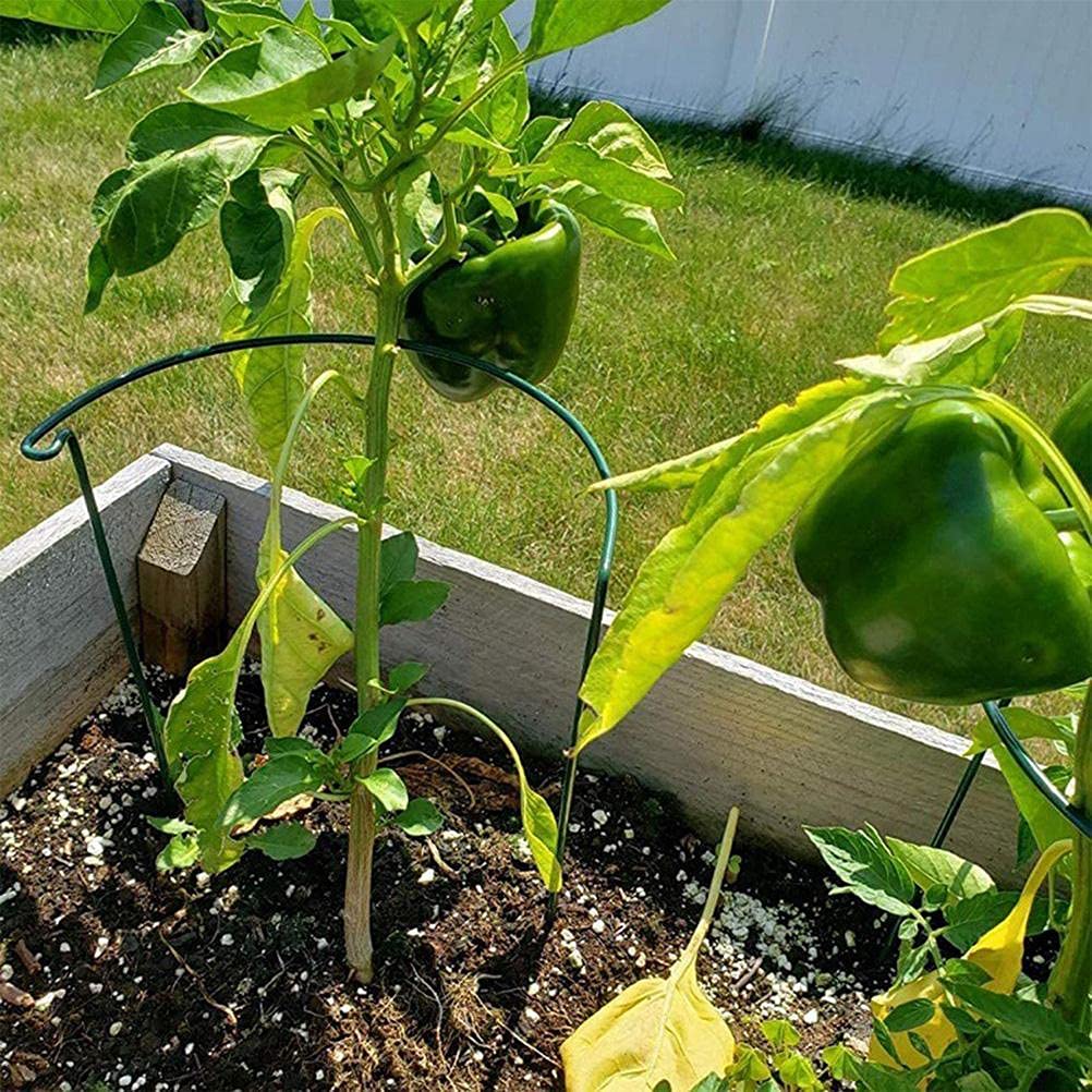 Nurnesy Metal Half Circle Garden Plant Support Stick with Locking Mechanism - Peony Cage for Tomatoes, Hydrangeas, Indoor and Outdoor Plants - Green Plant Support Edge (A), Nurnesyx7o5v8cu1y-08