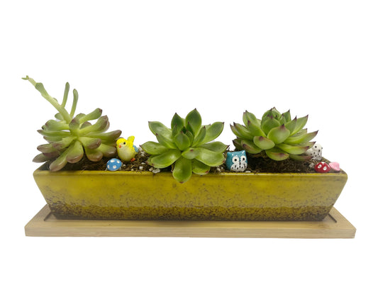 9.8inch yellow long rectangle Ceramic Succulent Planter Pot,one set of Mini Flower Plant Container with Bamboo Saucers. Product size:9.8 x2.35x1.77 inch,not include the plant. (Yellow)