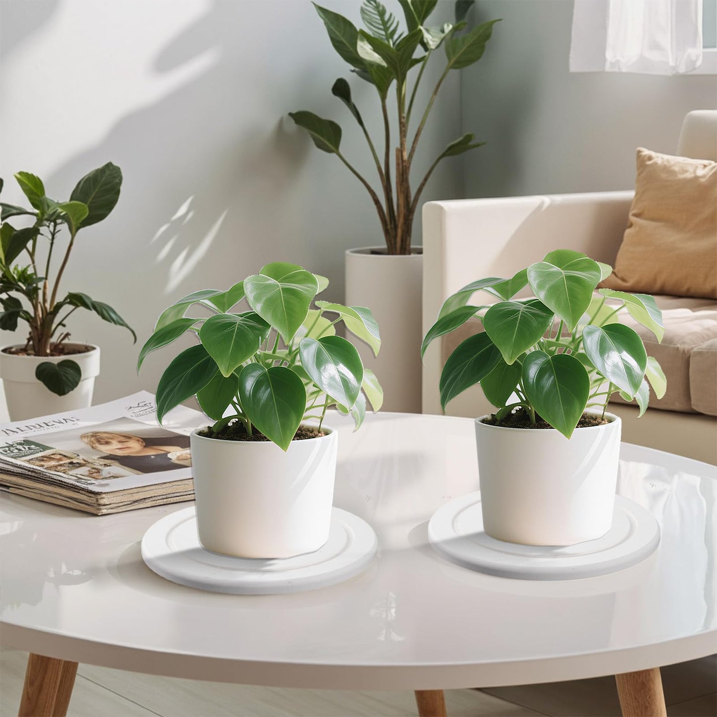 2Pcs Plant Saucer for Indoor — 6 inch Instant Dry Plant Tray Diatomaceous Earth Round Plant Drip & Drainage Trays for Indoors, Off - White