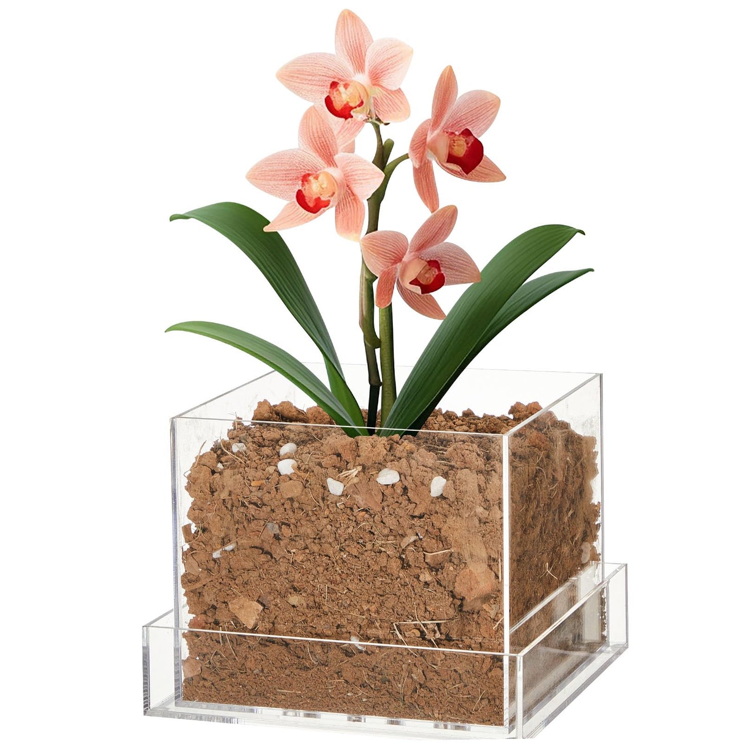 Sunnychicc Clear Plant Nursery Pots Acrylic Orchid Pots with Drainage Holes and Tray Transparent Planter for Indoor Plants, Succulents, Herb, Flowers and Cactus Decorative(6 Inches,Square)