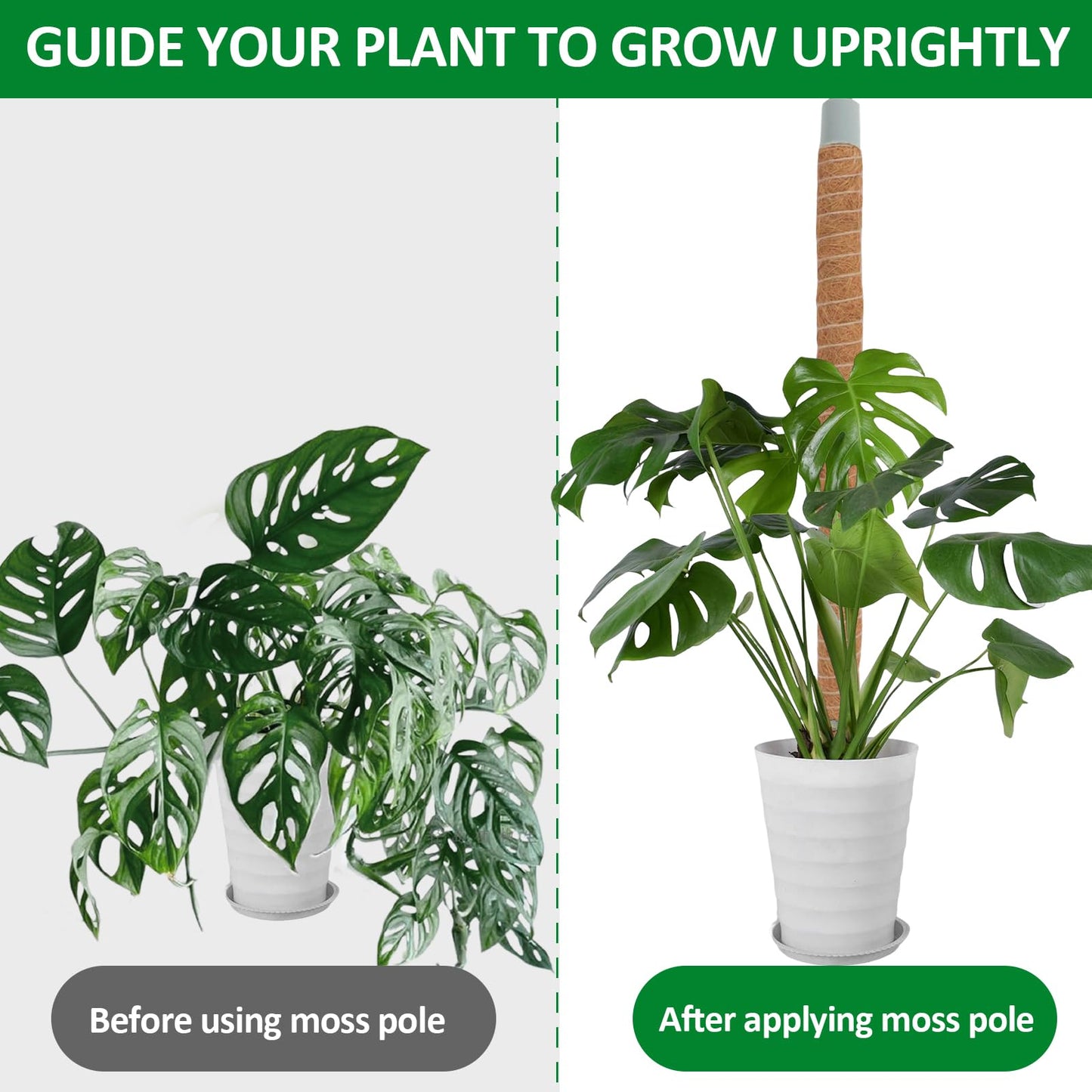 LOLEDE 2 Pack Moss Pole, 55 Inches Tall Bendable Coco Coir Poles Monstera Plant Support for Climbing Indoor Plants, DIY Plant Stakes Kit Support for Pothos, Philodendron,Potted Plants