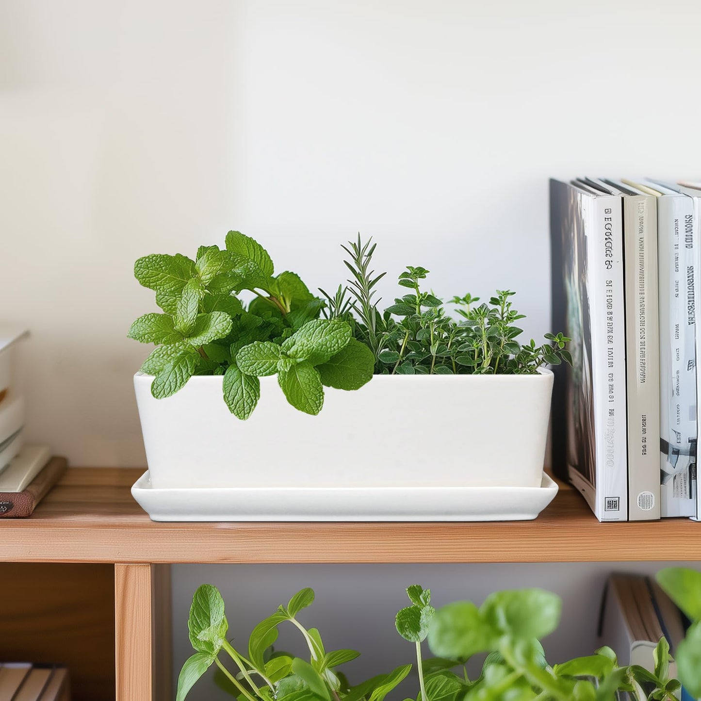 SQOWL Rectangular Planter - 10 Inch Ceramic Pots for Plants with Drainage Hole and Saucer, Succulent Pots for Indoor Outdoor, Cactus Herb Planter, Home Decor, Gifts for Plant Lovers, Glossy White