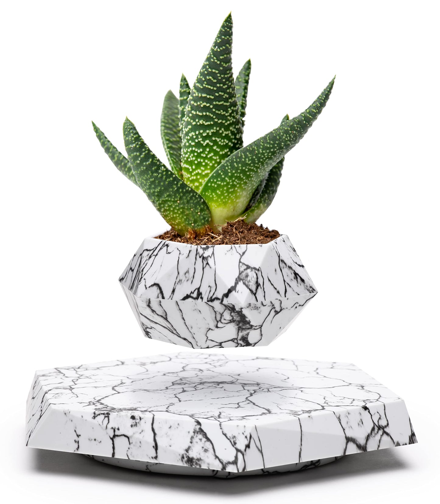 BandDlevs Floating Pots for Plants - Levitating Pot - Levitating Planter for Bonsai, Succulents, Air Plants - Floating Magnetic Display for Home Office Desks - Magnetic Levitation Plant Holder (Black)