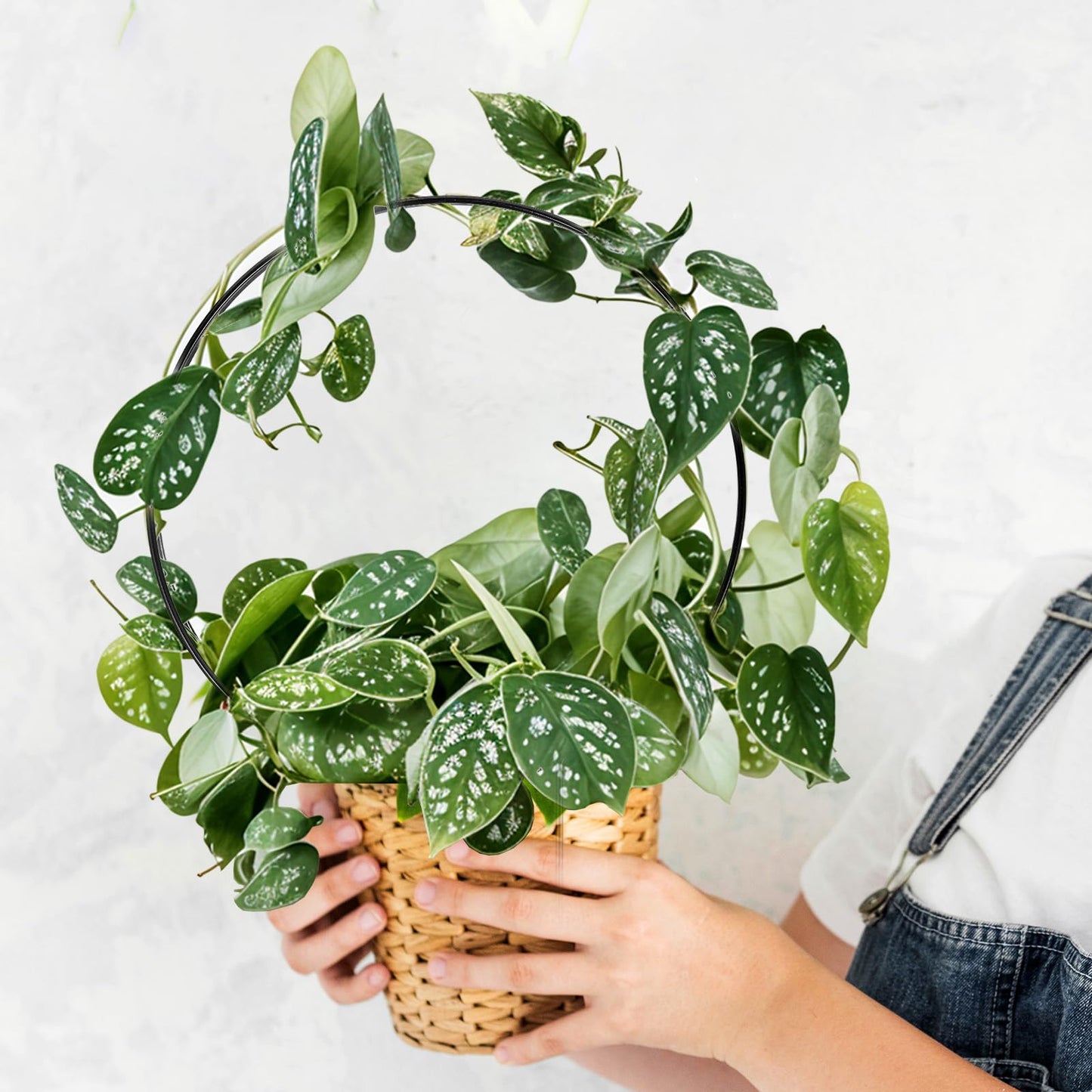 10 Pcs Small Trellis for Climbing Plants, Indoor Outdoor Plant Trellis, Circle Trelli Plant Supports for Potted Plants Vines Hoya Flower Topiary Frames