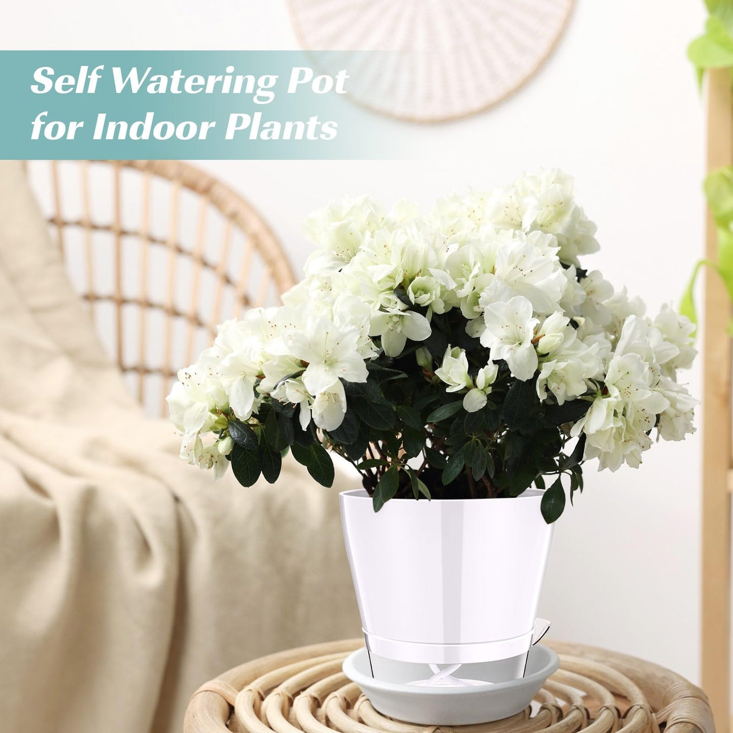 Funnymoom 6 Pack 6 Inch Self Watering Plant Pots Self Watering Planters with with Visual Reservoir and Drainage Hole Plastic Flower Pots for Indoor Plants African Violets Flowers