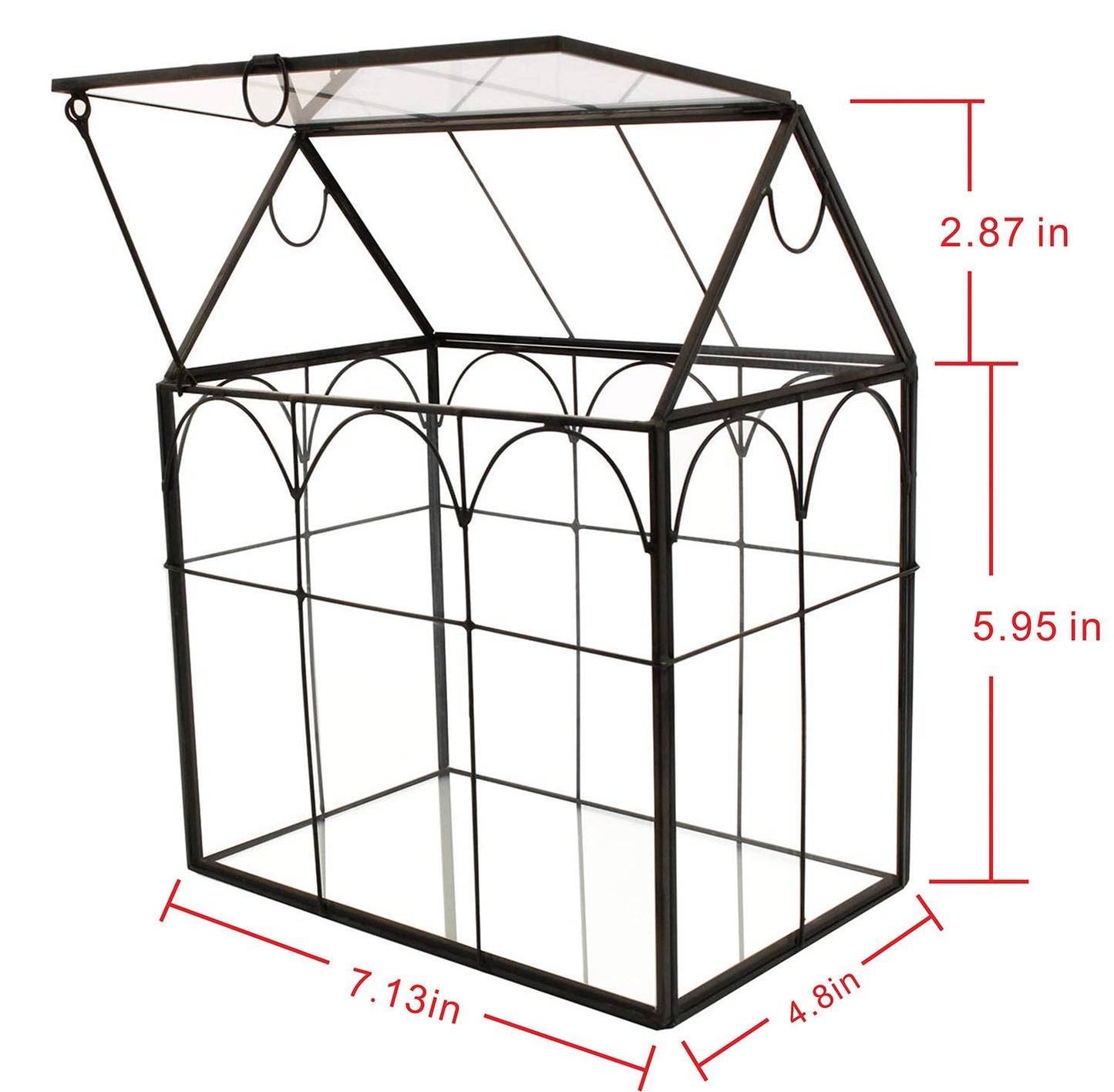 ELEGANTLIFE Glass Geometric Plant Terrarium,Succulent & Air Planter for Home Garden Office Decoration (Black House)