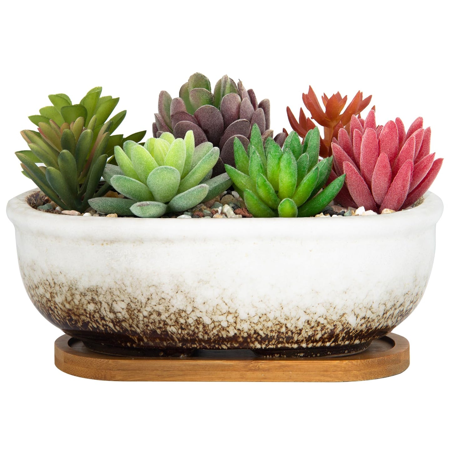 ARTKETTY Succulent Pots, 7.9'' Large Ceramic Pots for Indoor Cactus Plants, Shallow Succulent Planters with Drainage Tray, Oval Bonsai Plant Container Bowl Garden Home Windowsill Decor