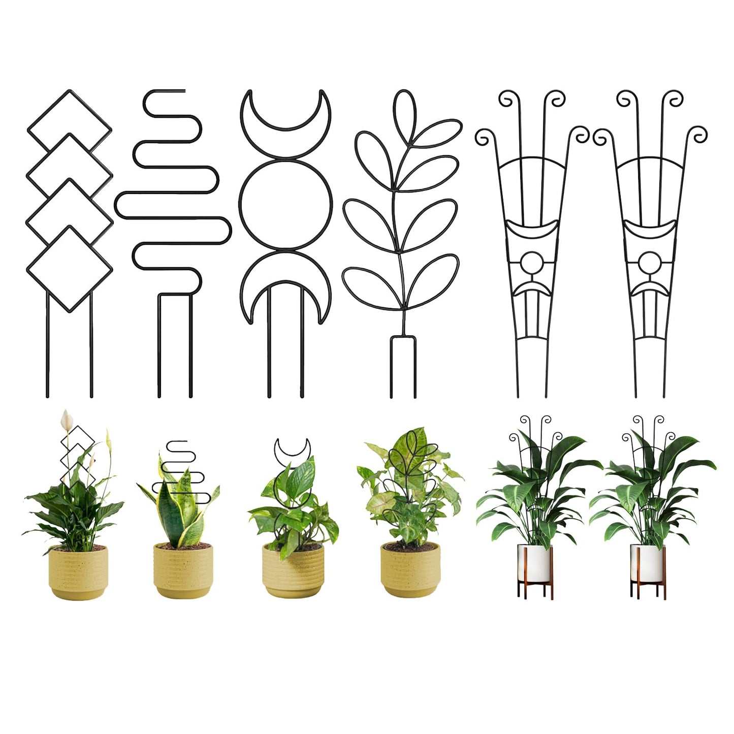6(Six) Plant Trellis for Climbing Plants Indoor, 2(Two) Expandable Large Metal Trellis for Potted Plants and 4(Four) Trellis for Potted Plants