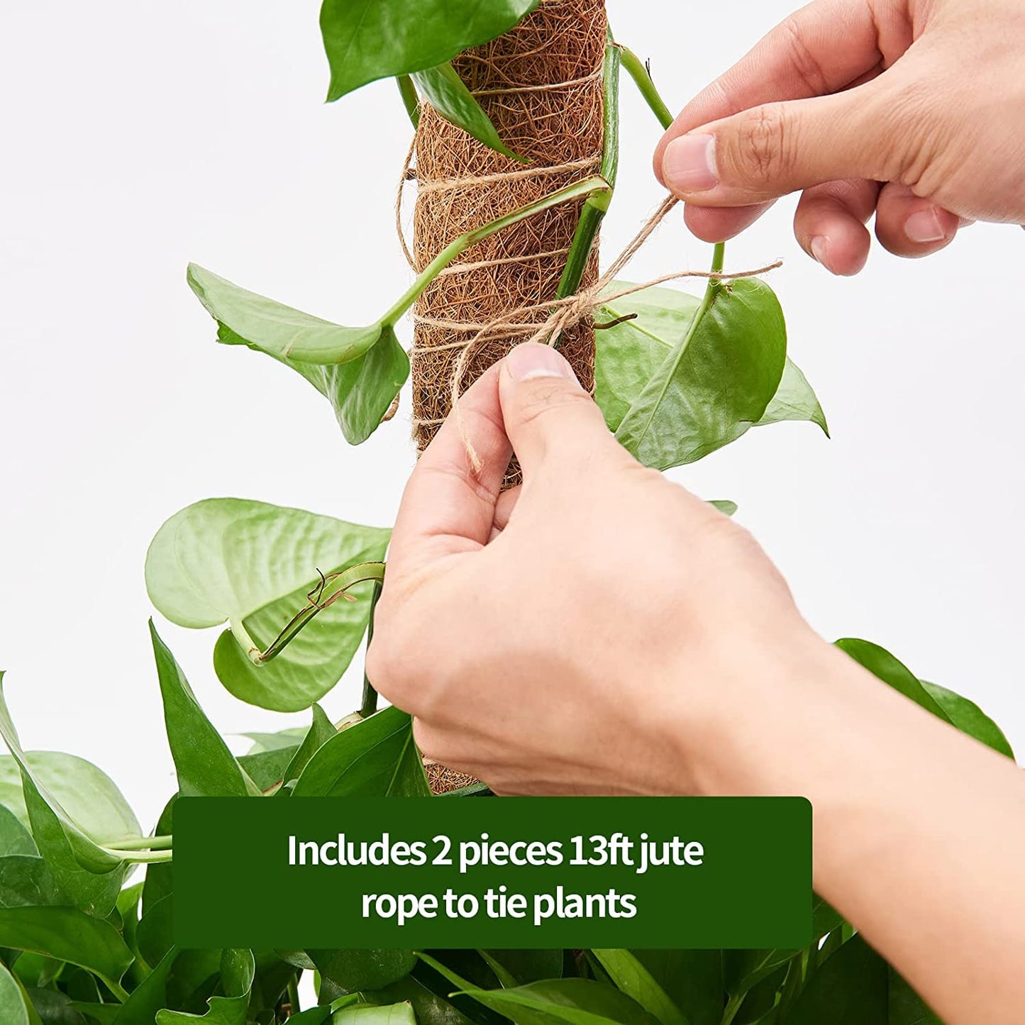 Eibikdi 8 Pcs Moss Pole for Plants Monstera, Plant Support Stakes for Indoor Climbing Plants Grow Upwards, with 65ft Twist Ties, 13ft Jute Rope, 6.5ft Hook-and-Loop Strip