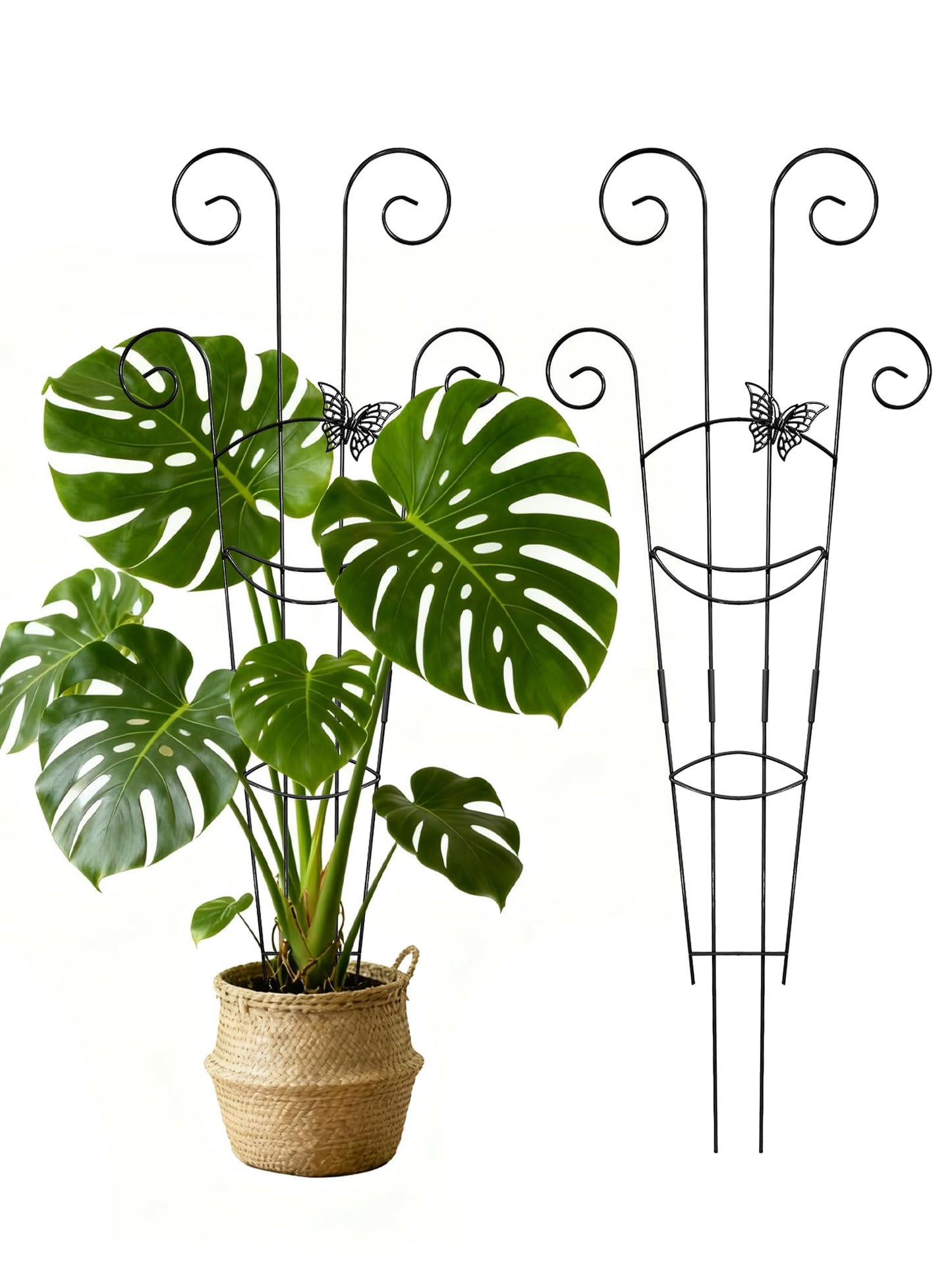 2 Pcs Tall Trellis for Potted Plants, 30'' Expandable Butterfly Shape Garden Trellis for Climbing Plants Indoor, Plant Pothos Climber Support for Monstera, Ivy, Hoya, Vine (Black)