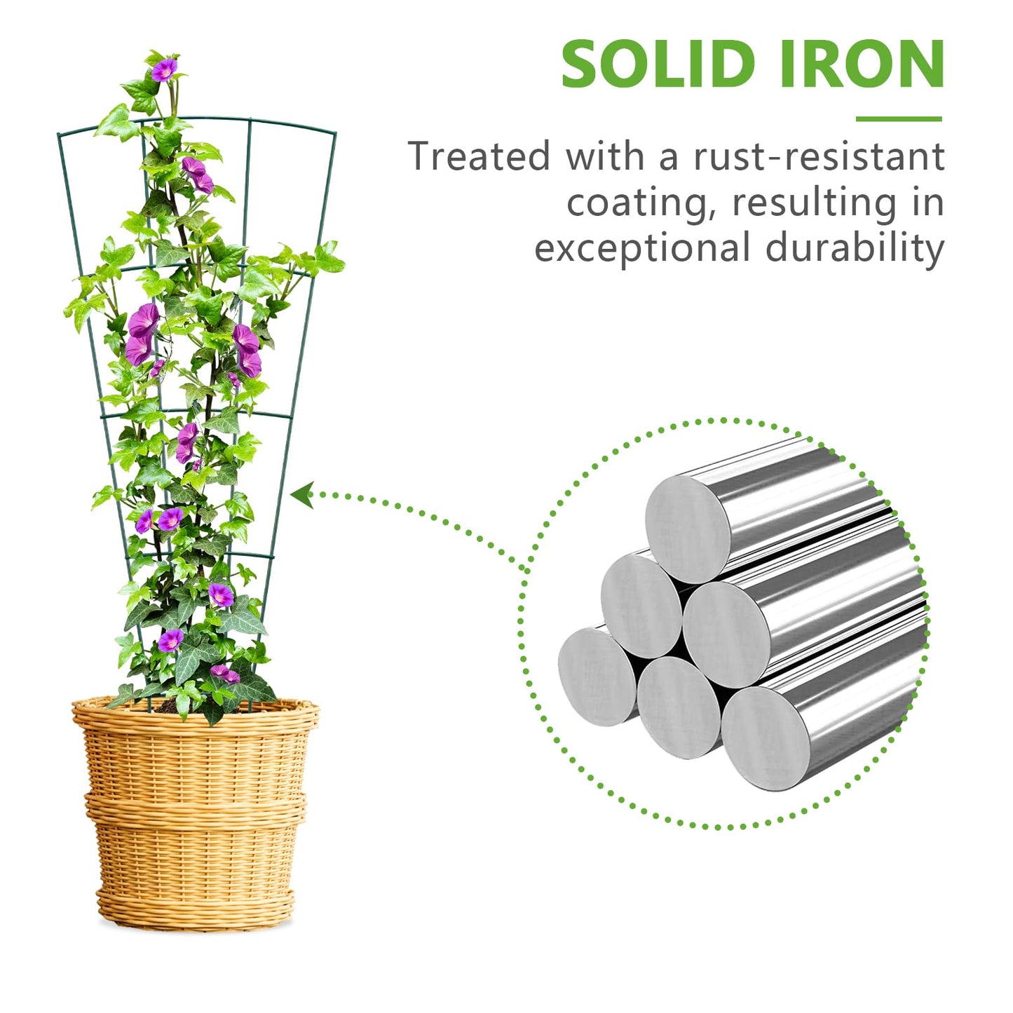 SUMGROW 6-Pack Indoor Plant Trellis - 24 Inches, Heavy-Duty Metal for Climbing Houseplants, Flowers, Vines, and Ivy