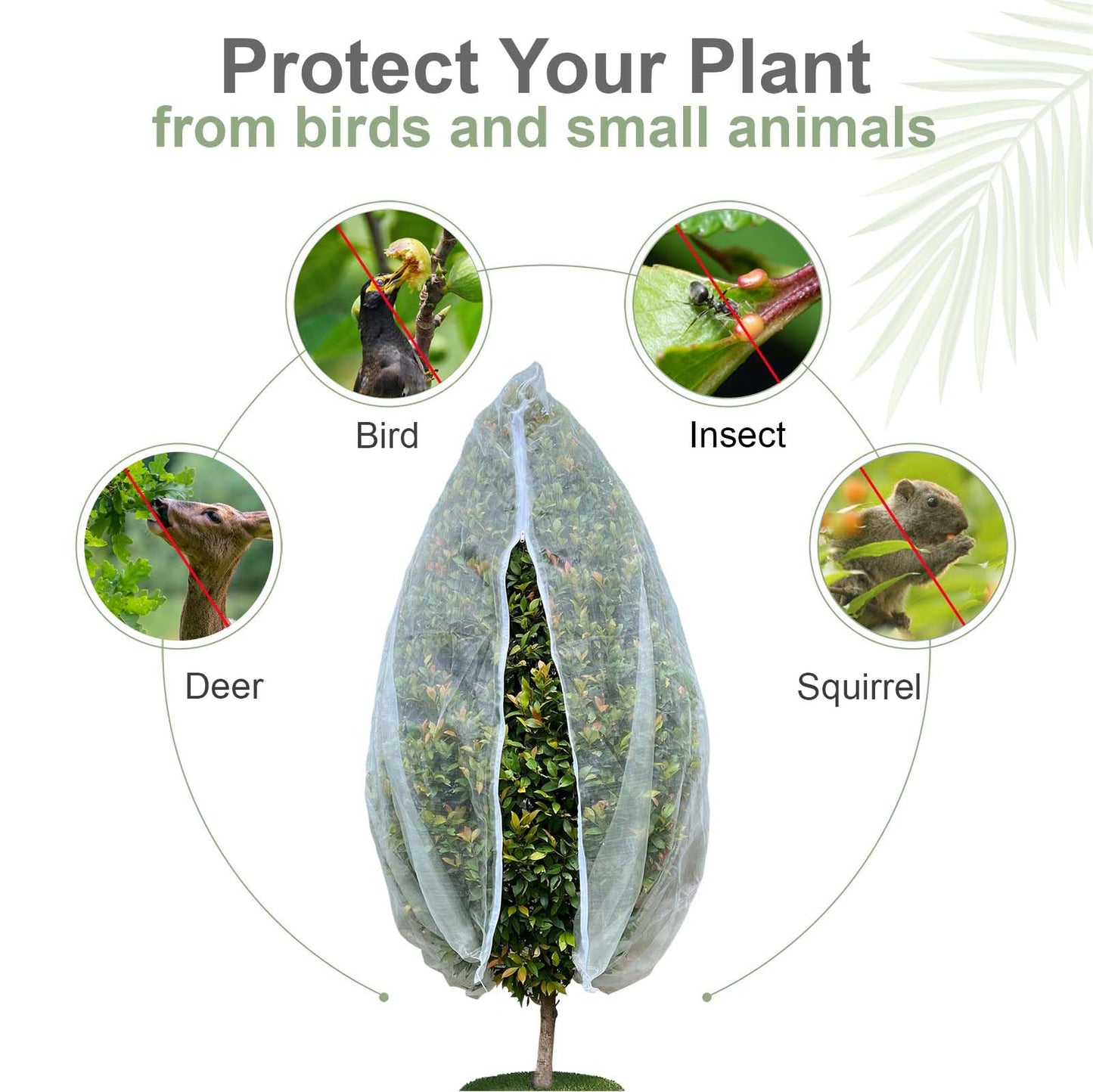 Homoda Fruit Tree Netting Cover with Zipper & Drawstring, 2 Packs 4ft x 4ft Insect Bird Barrier Netting for Garden Protection, Ultra Fine Mesh Garden Netting