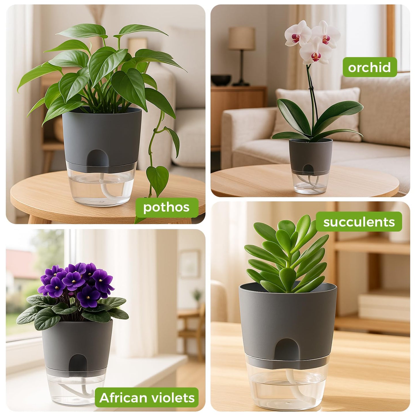 Planterhoma 8 Pack Self Watering Pots for Indoor Plants, 6 Inch Plant Pot Plastic Self Watering Planter for Orchid, African Violet, Small Clear Flower Pots with Drainage Holes and Wicking Rope, Gray