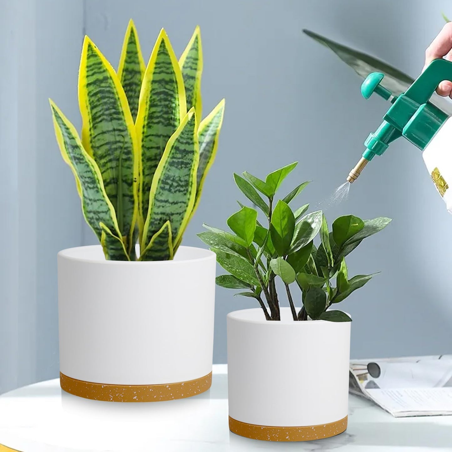 DGJDLWHX Large Plant Pots Set of 3 – 8", 9", 10" Indoor Flower Pots with Drainage Holes and Saucers, Big Planters for Monstera, Fiddle Leaf Fig, Snake Plant – 5 Colors