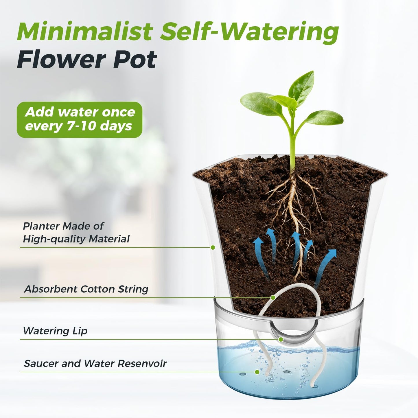 6-Pack 6" Clear Self Watering Pots for Indoor Plants Large Hexagon Self-Watering Planters Orchid Pots Plastic Wick Flower Plant Pots for African Violet, Spider, Herbs, Home Decor, White and Clear