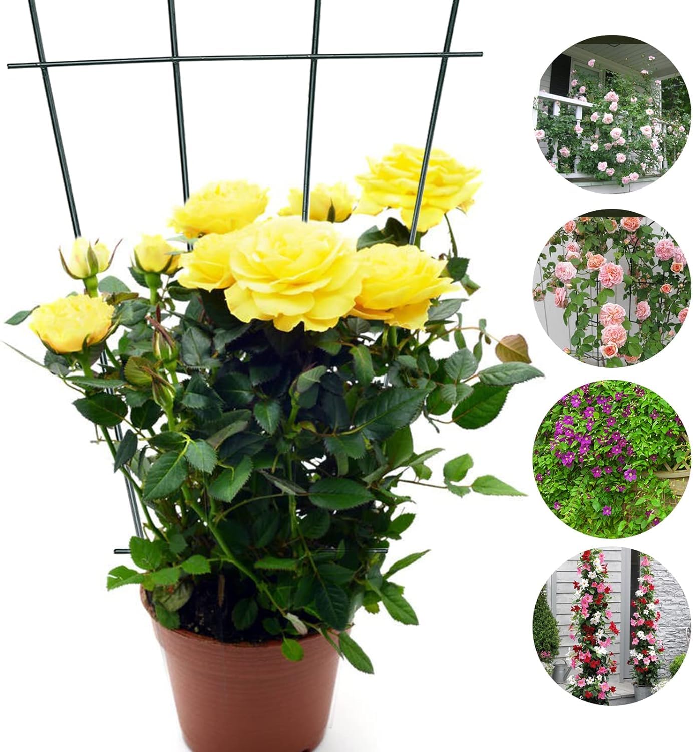 2Pcs Plant Trellis for Climbing Plants Indoor, Green Coated Fan Pot Trellis Metal Flower Support Garden Trellis Frames for Indoor Outdoor Vines Flower Vegetable
