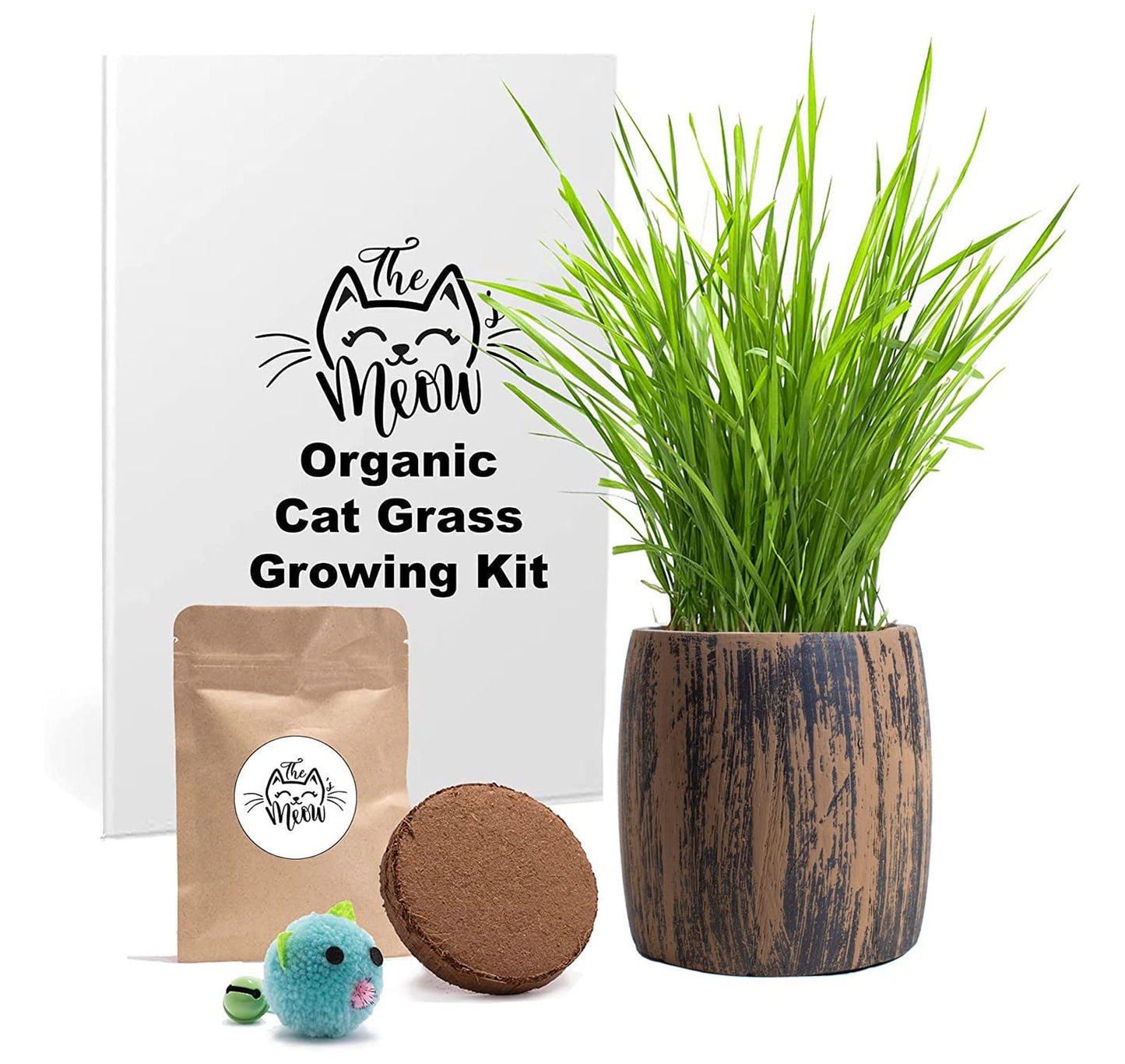 Cali Kiwi Pros Cat Grass for Indoor Cats Kit – Best Value Organic Seed & Soil for 4 Plantings, Includes Cat Toy Gift & Hairball Remedy (Wicker Brown)