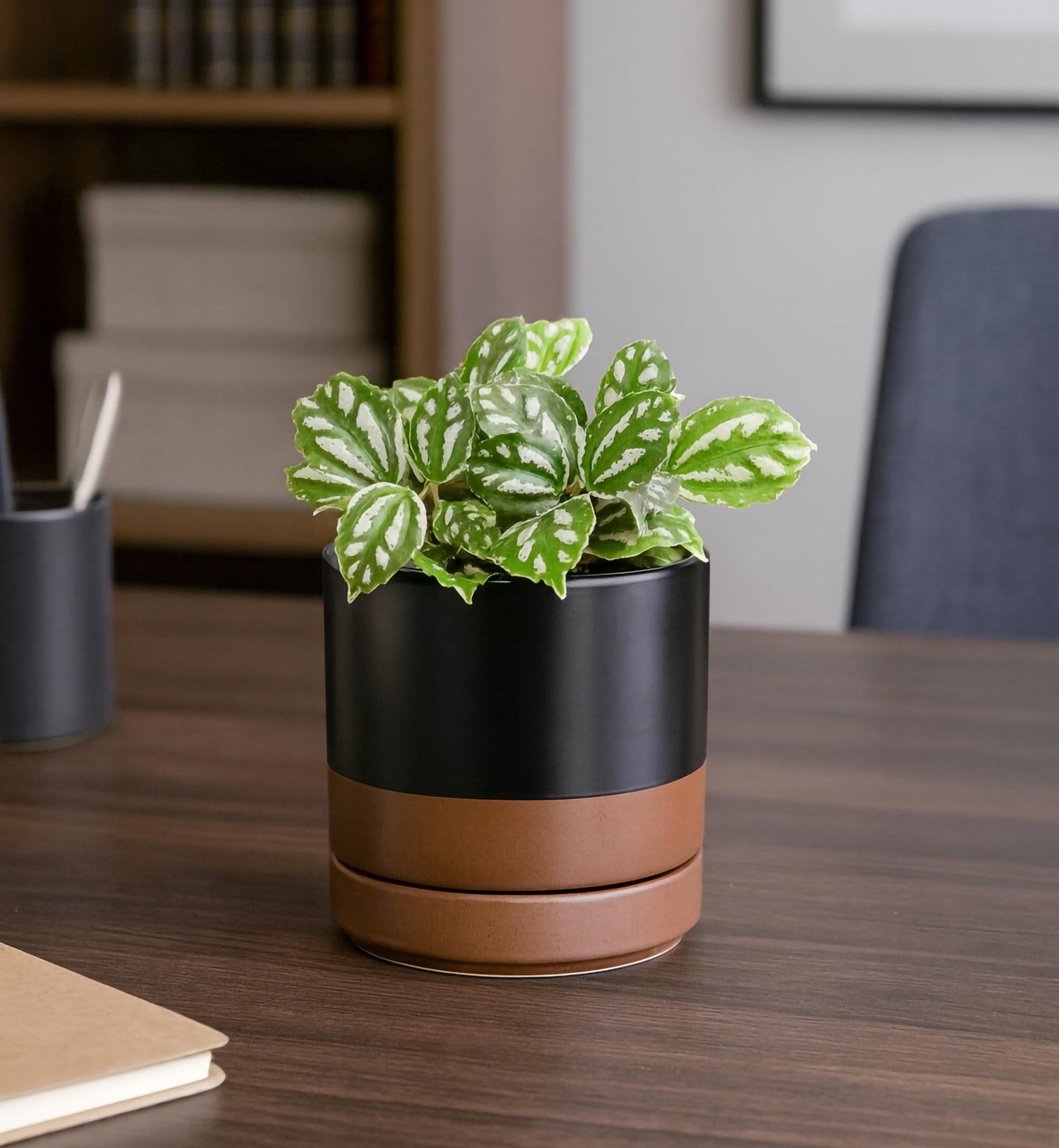 D'vine Dev Set of 4 Small Ceramic Plant Pots, 4.7 Inch Succulent Planter Pot for Plants with Drainage Hole and Saucer, Black/Speckled Tan, 94-X-B-7