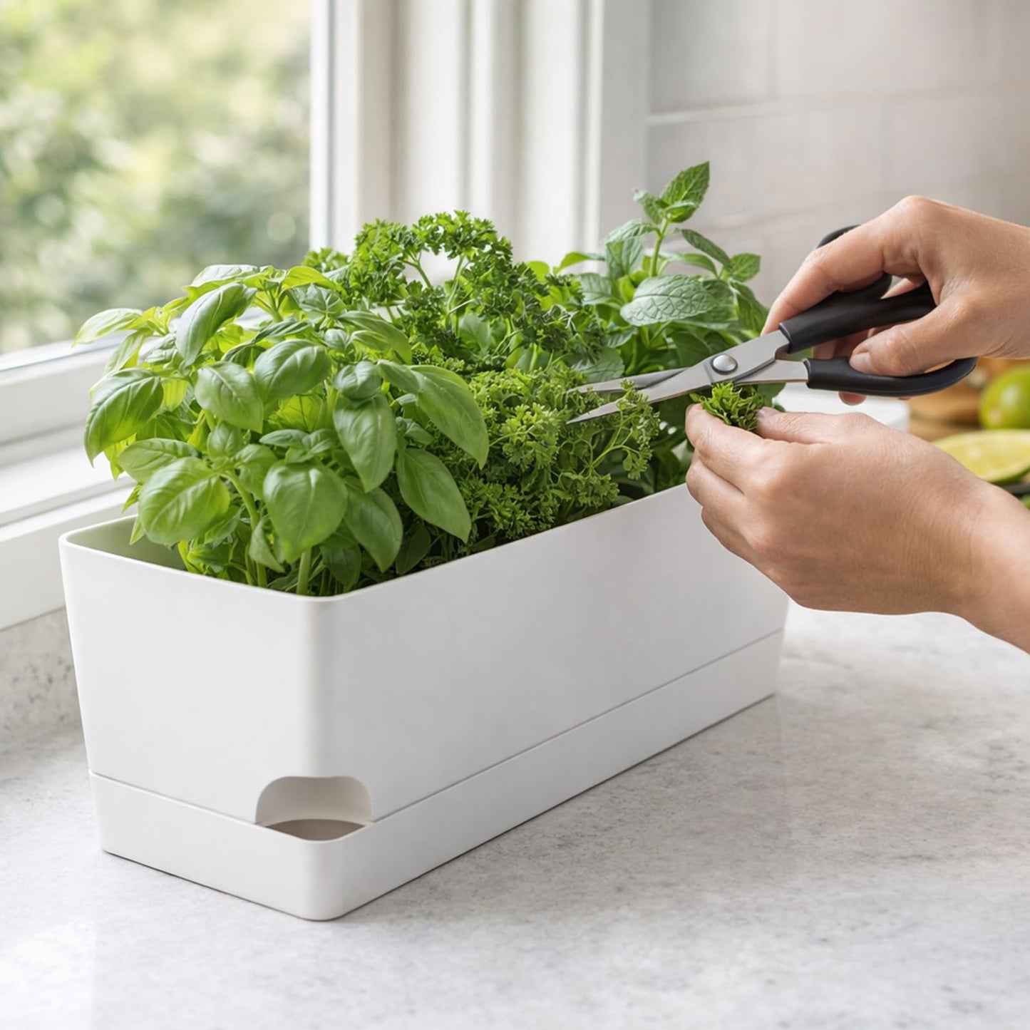 Party Zealot Window Boxes Planters, 5 Pack Self Watering Pots for Indoor Plants 17 Inch Rectangular Planter Rectangle Flower Pots Long Plant Pot Large Window Sill Herb Planter Box, White