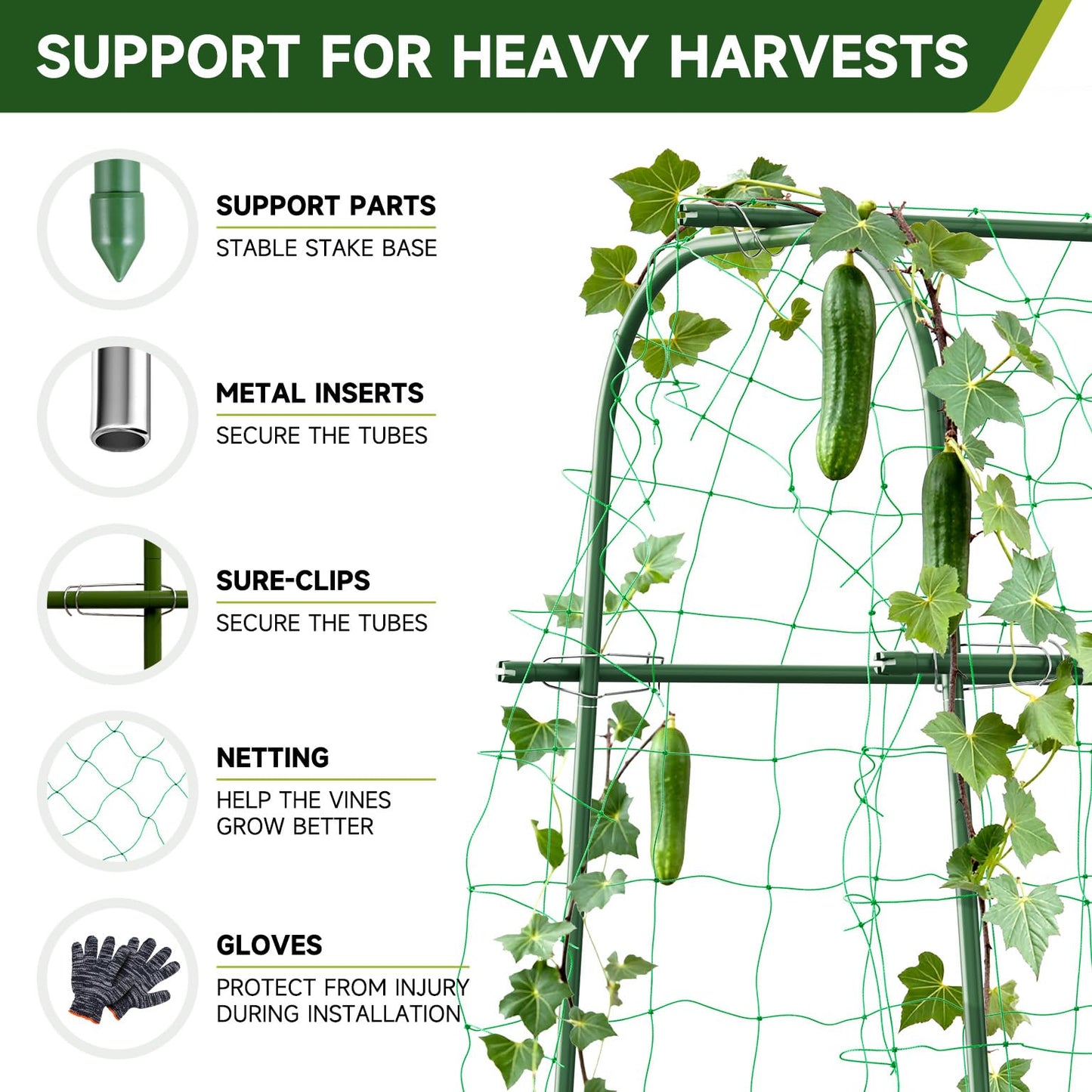 HIRALIY Cucumber Trellis for Climbing Plants Outdoor, 5.6ft Tall Heavy Duty Metal Garden Arch Trellis, Rustproof Plant Support Tunnel for Tomato, Grape, Bean, Raised Bed and Vegetable Gardens, Green